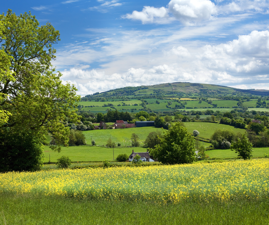 Contrasts in the Domestic Staffing World - London vs. Rural UK