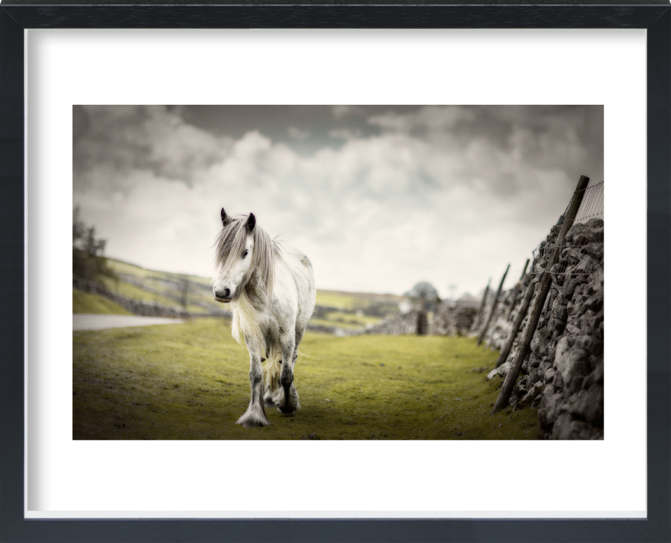 Screen Shot 2018-07-06 at 13.54.46.png