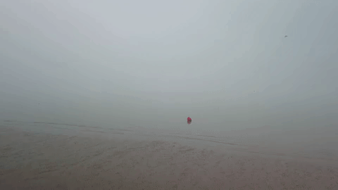 header webpage gif.gif