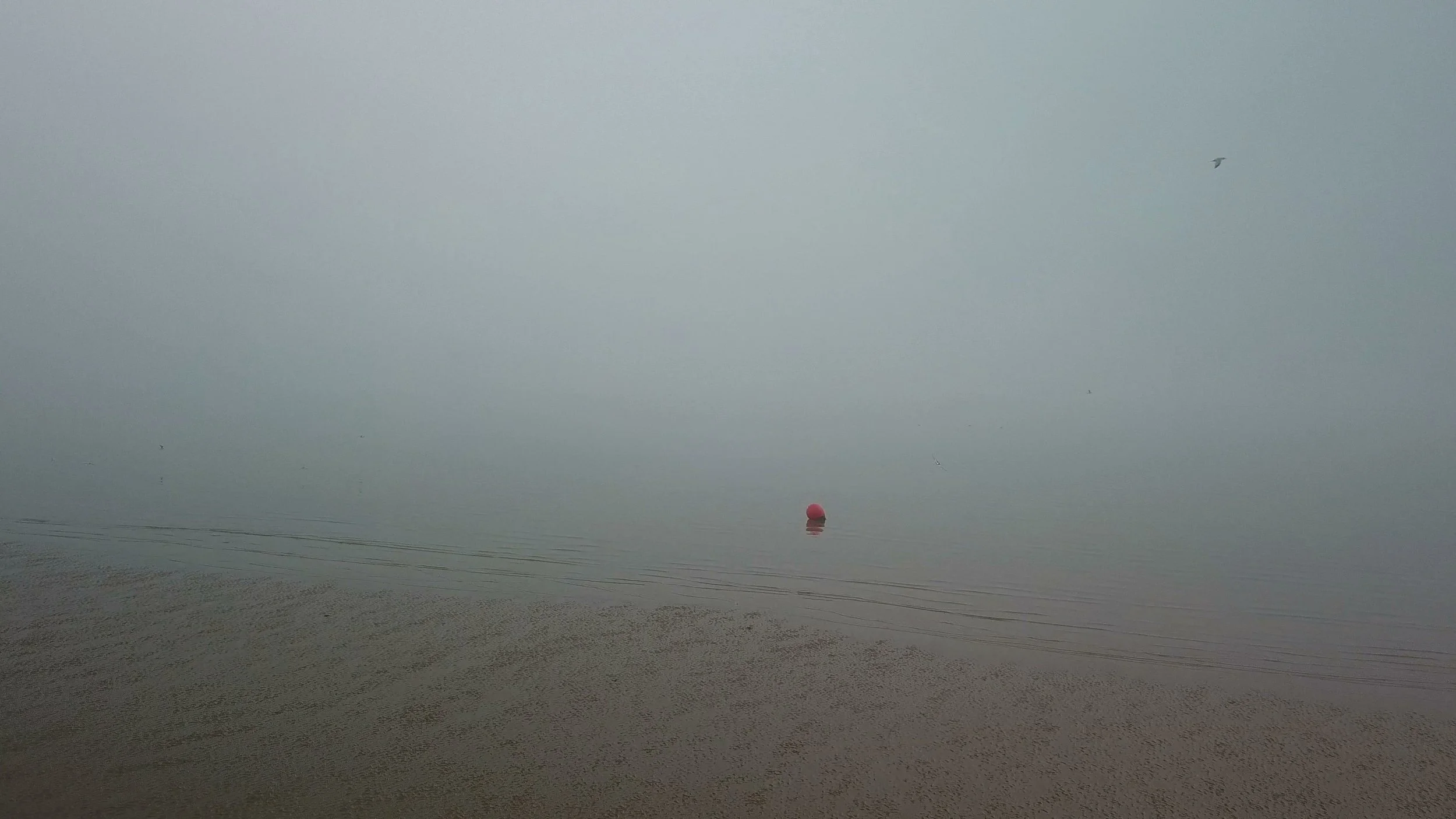 water korter header.jpeg