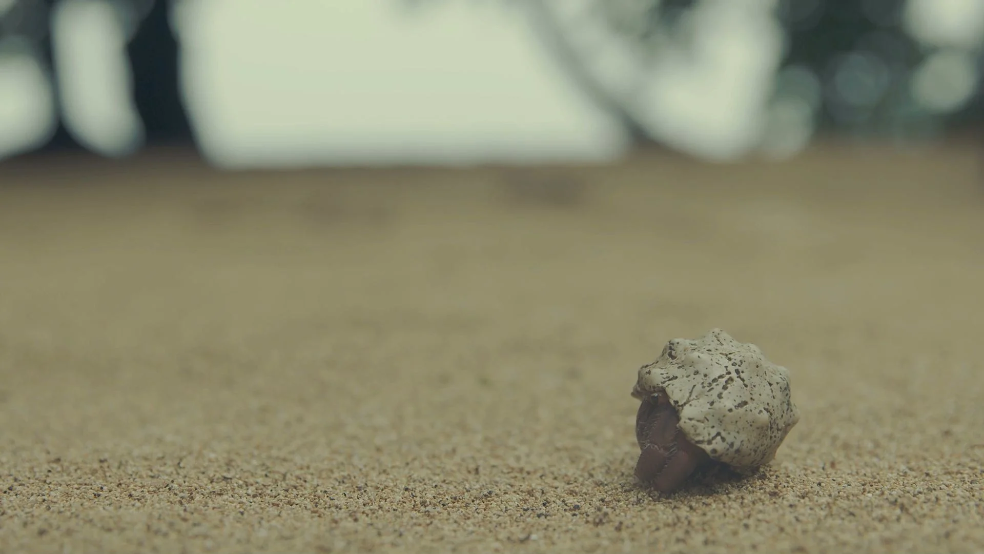 The Art of Travel header website kort.jpeg