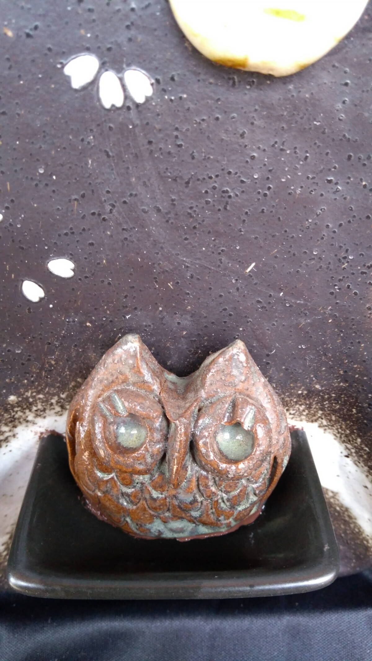 A DIsh of Owl