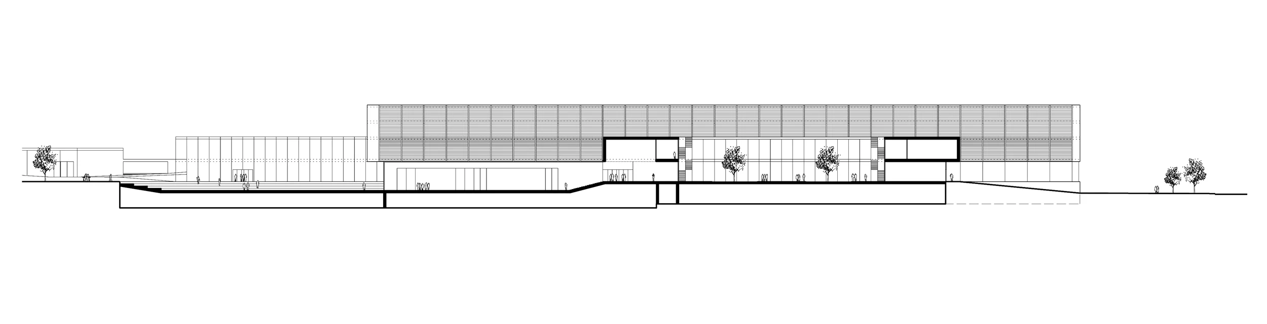 Aalto-section-CW7.jpg