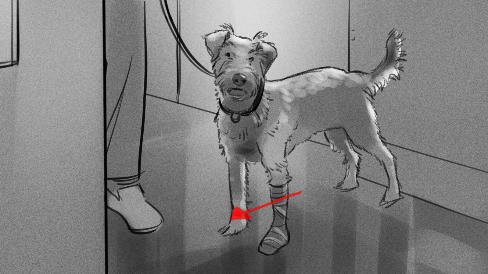 PET PLAN - AMENDED MAIN-board-00026.png