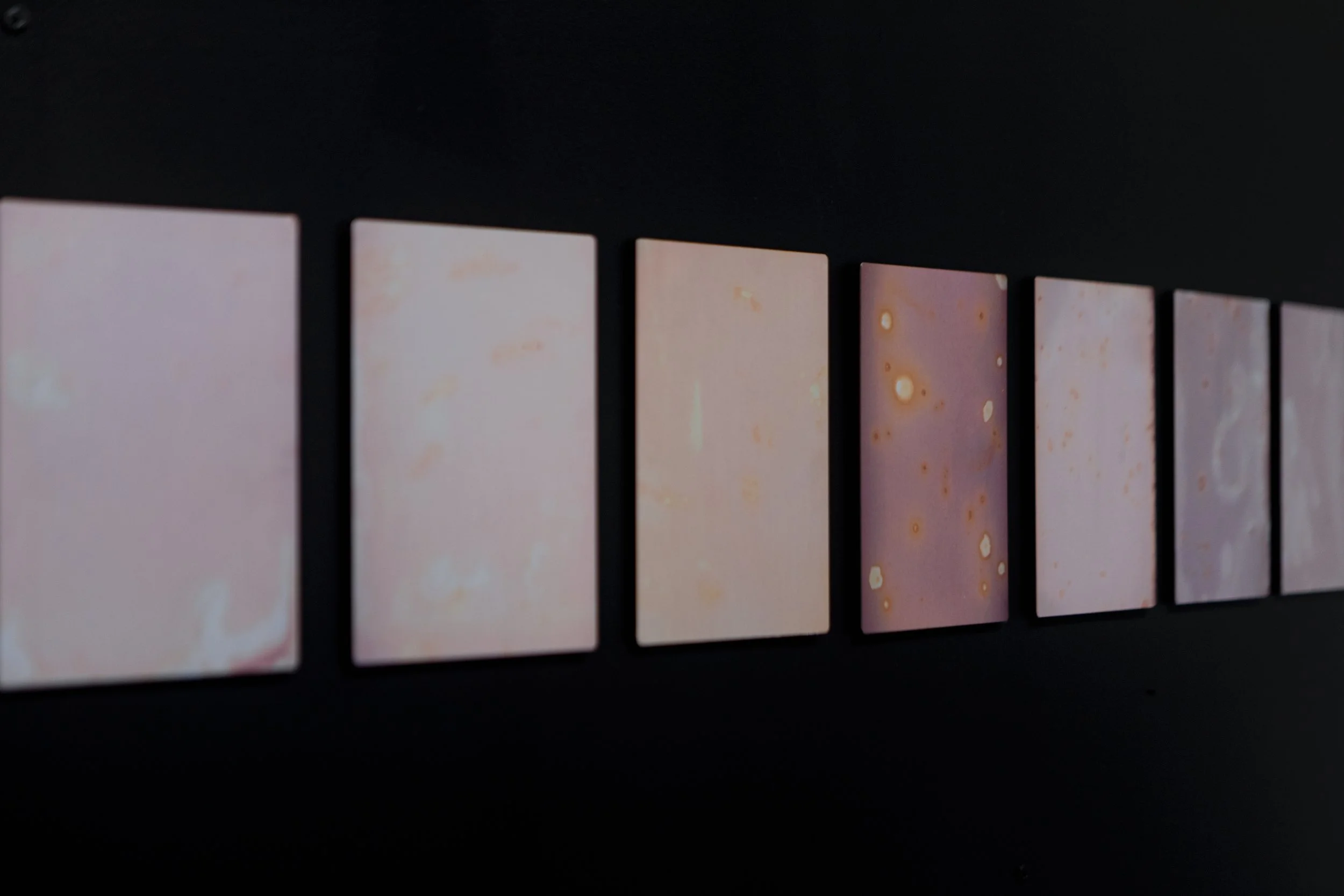 'Solar Observation' - detail view  Installation view at Blue Mountains Cultural Centre. August 13 - October 2, 2022.