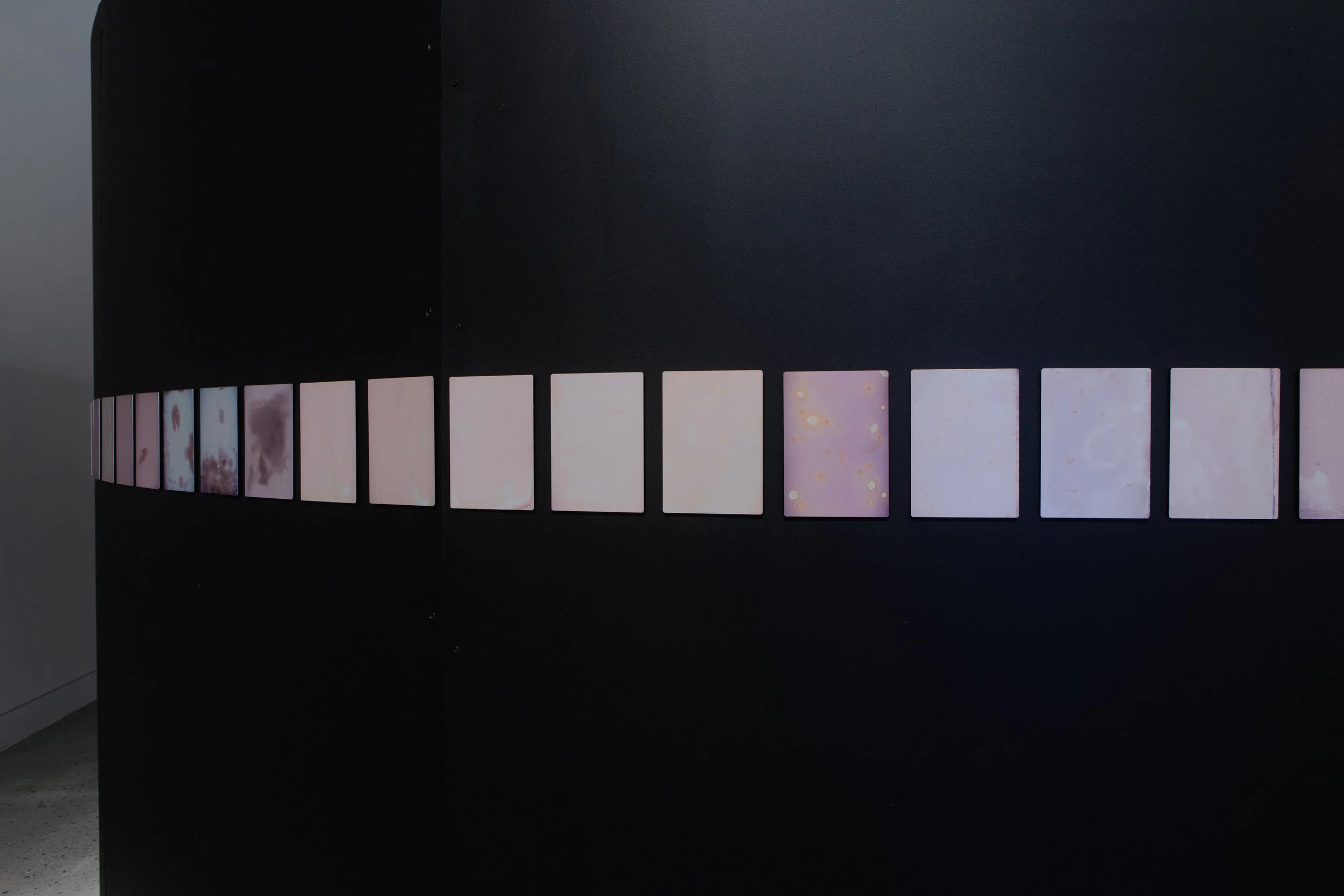 'Solar Observation' - install view at Blue Mountains Cultural Centre, 2022