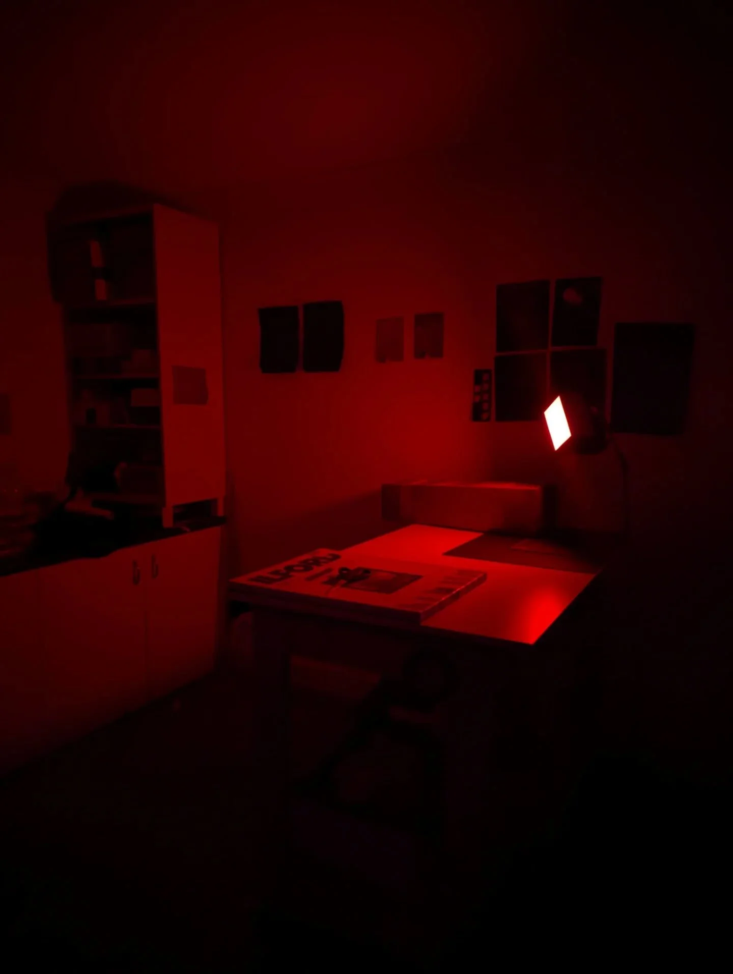 Studio portraits at night. Fighting the dog-tired feeling from the day, and then the quiet and the wrangling of light sensitive papers, setting up for hour long, day long, week long, or month long exposures where I'm trying to think through time.