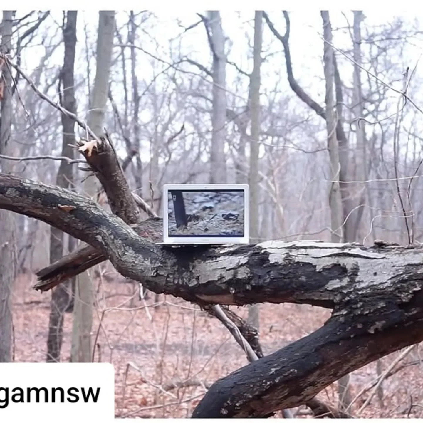 Very excited to be part of 'Welcome to Wherever You Are' opening @magamnsw from Friday 6th June. 
.
&nbsp;
Welcome to Wherever You Are&nbsp;foregrounds the work of artists who enfold time and space,&nbsp;positioning us in relationship to an environme