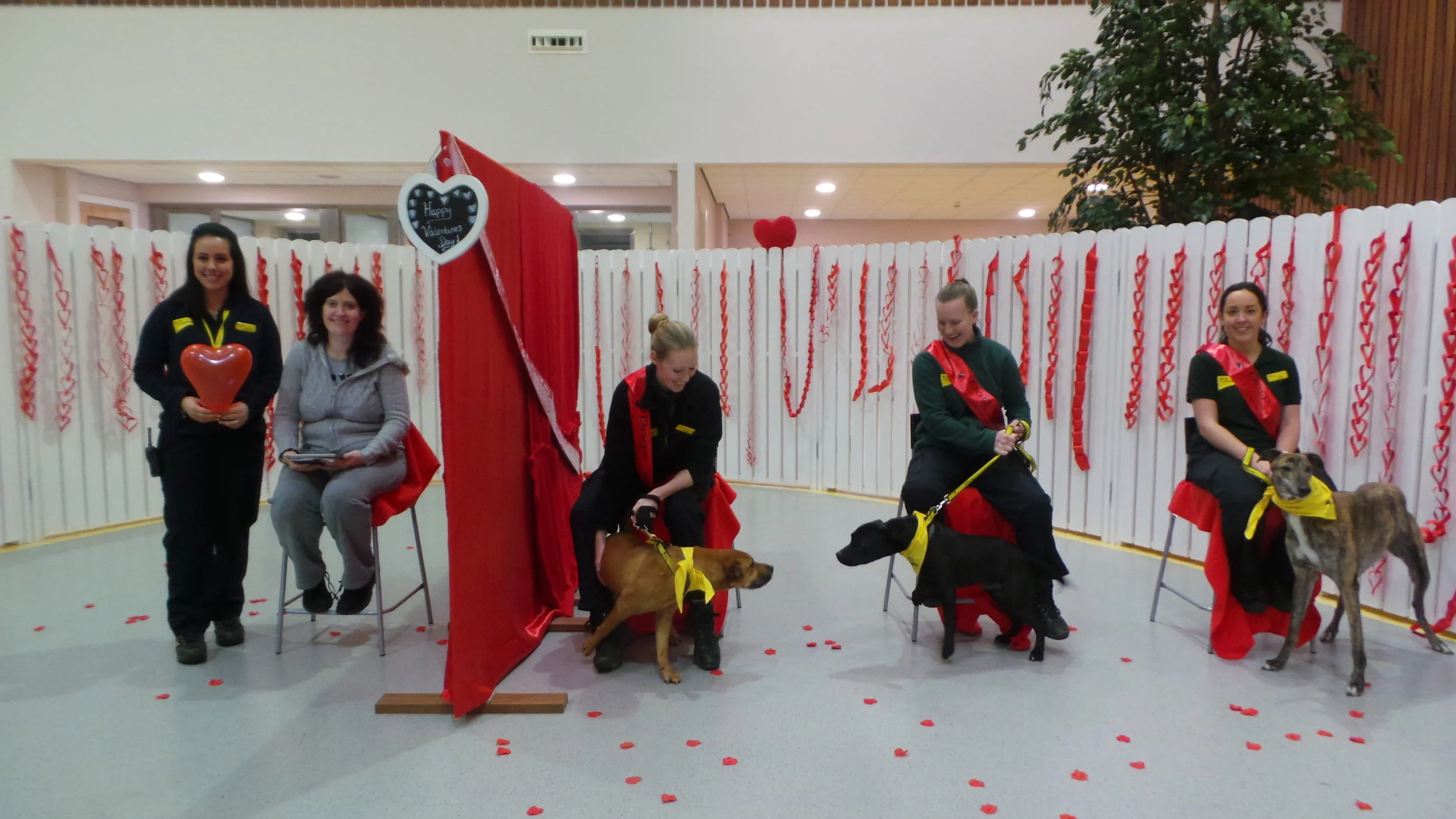Blind Date Dogs Trust Manchester