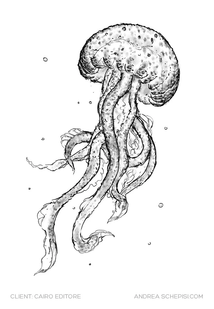 Andrea-Schepisi-editorial-illustration-nature-digital-jellyfish.jpg