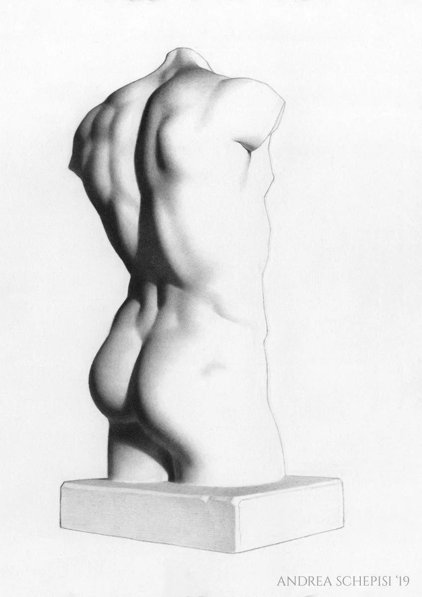 2019 Graphite Study - Bargue Plate - Torso