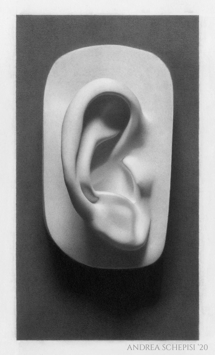 2020 Graphite Study - Cast Drawing - Ear