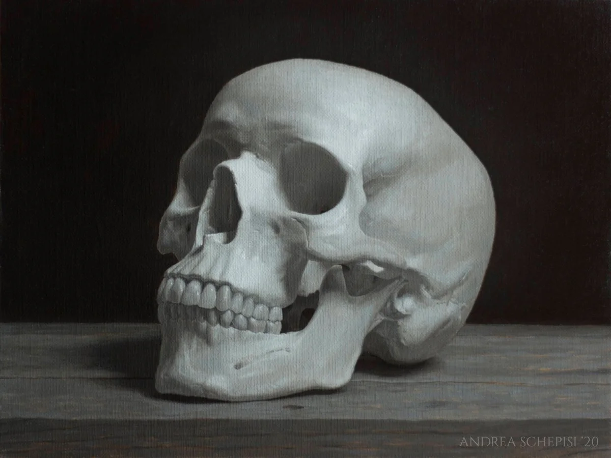 2020 Oil Study - Monochrome Painting - Skull