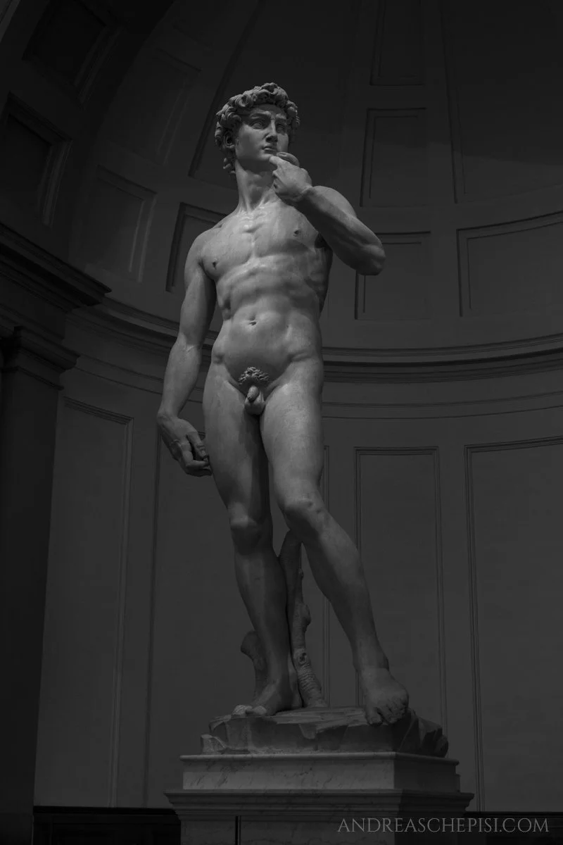 Andrea-Schepisi-photography-Firenze-David-Michelangelo.JPG