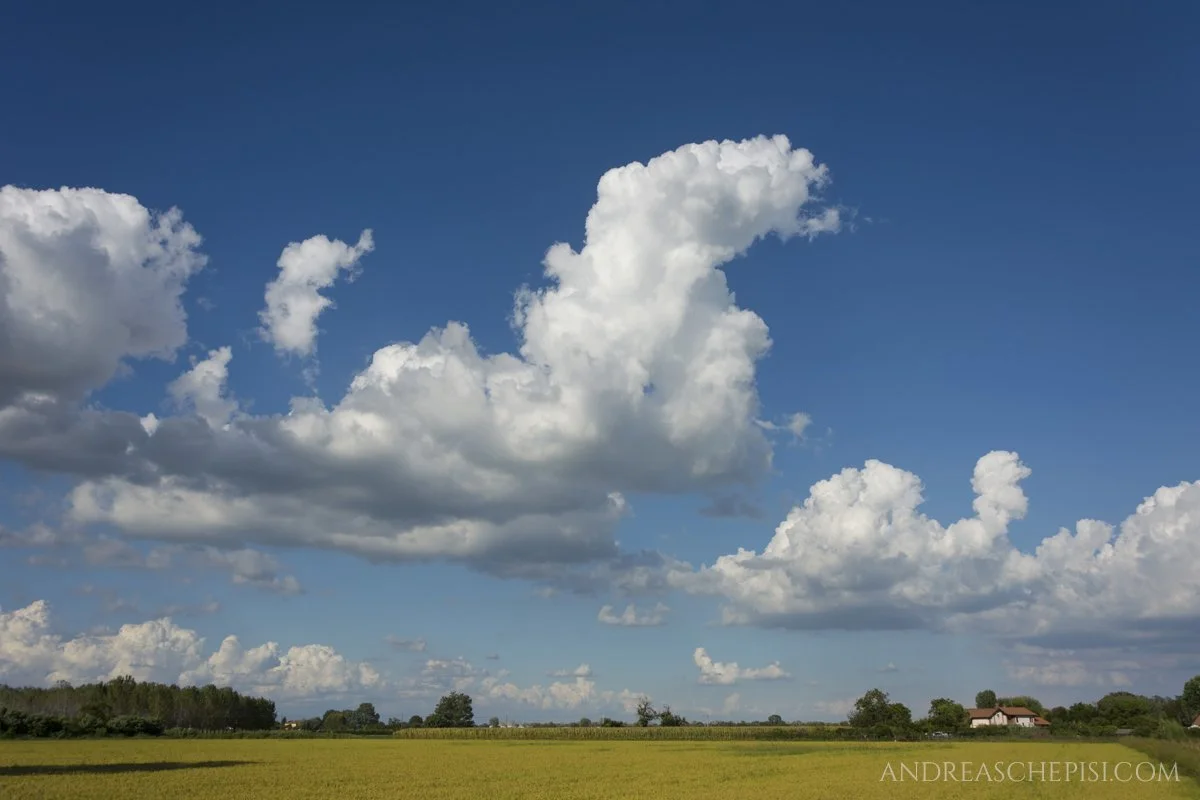 Andrea-Schepisi-photography-Vigevano-campagna.JPG