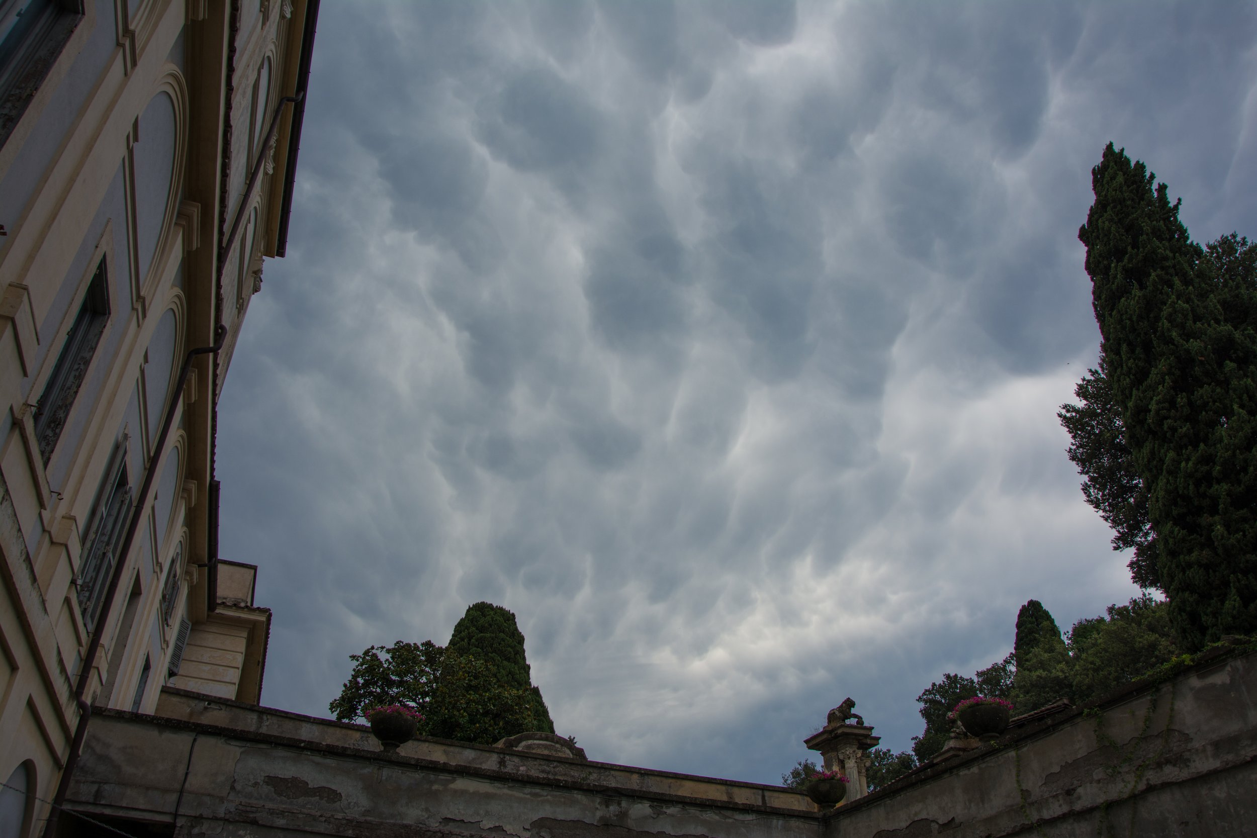 DSC_0094m.jpg