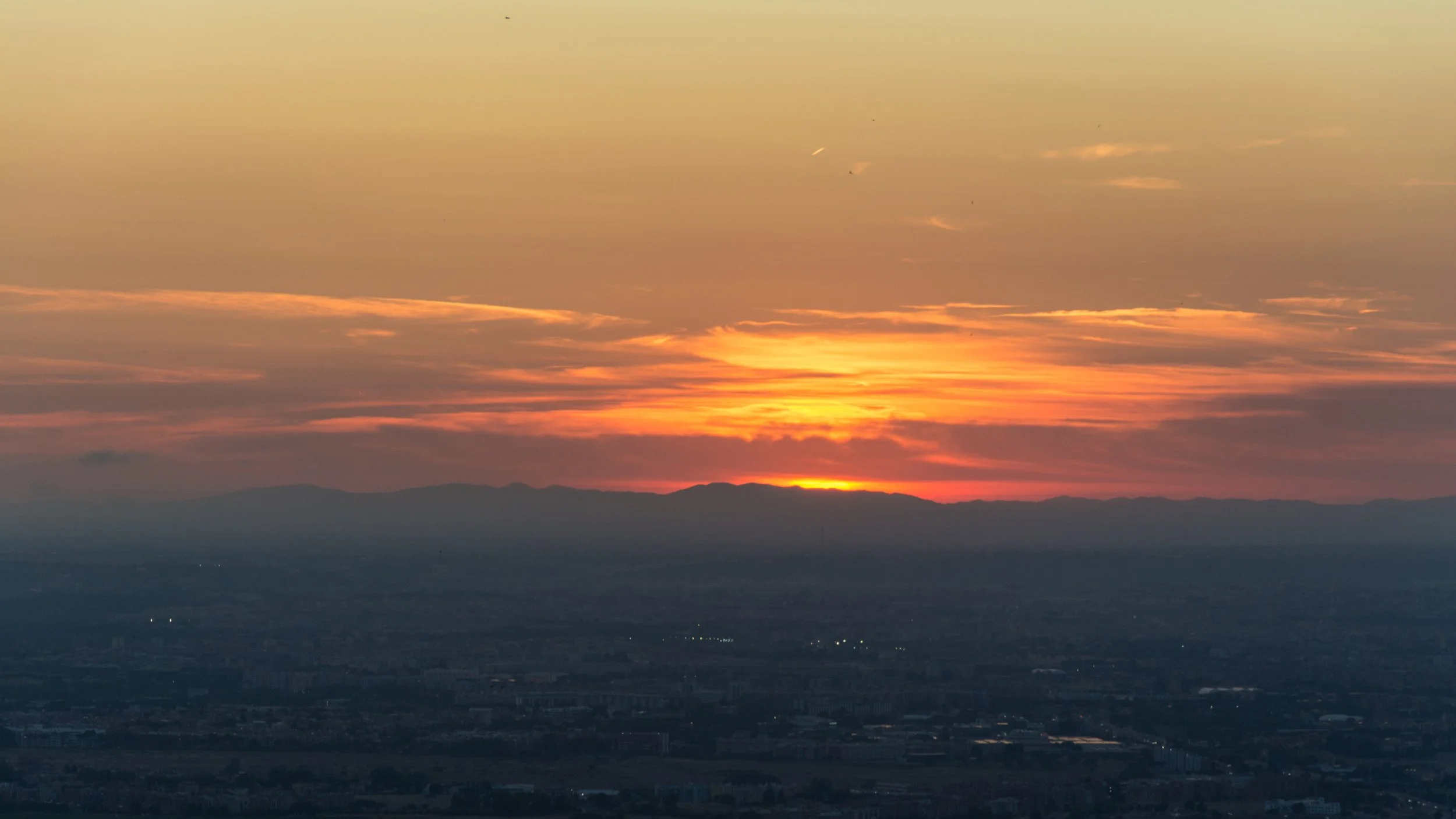 DSC_0181m.jpg