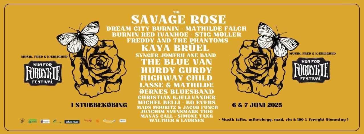 Freddy And The Phantoms - Live at Kun For Forrykte Festival