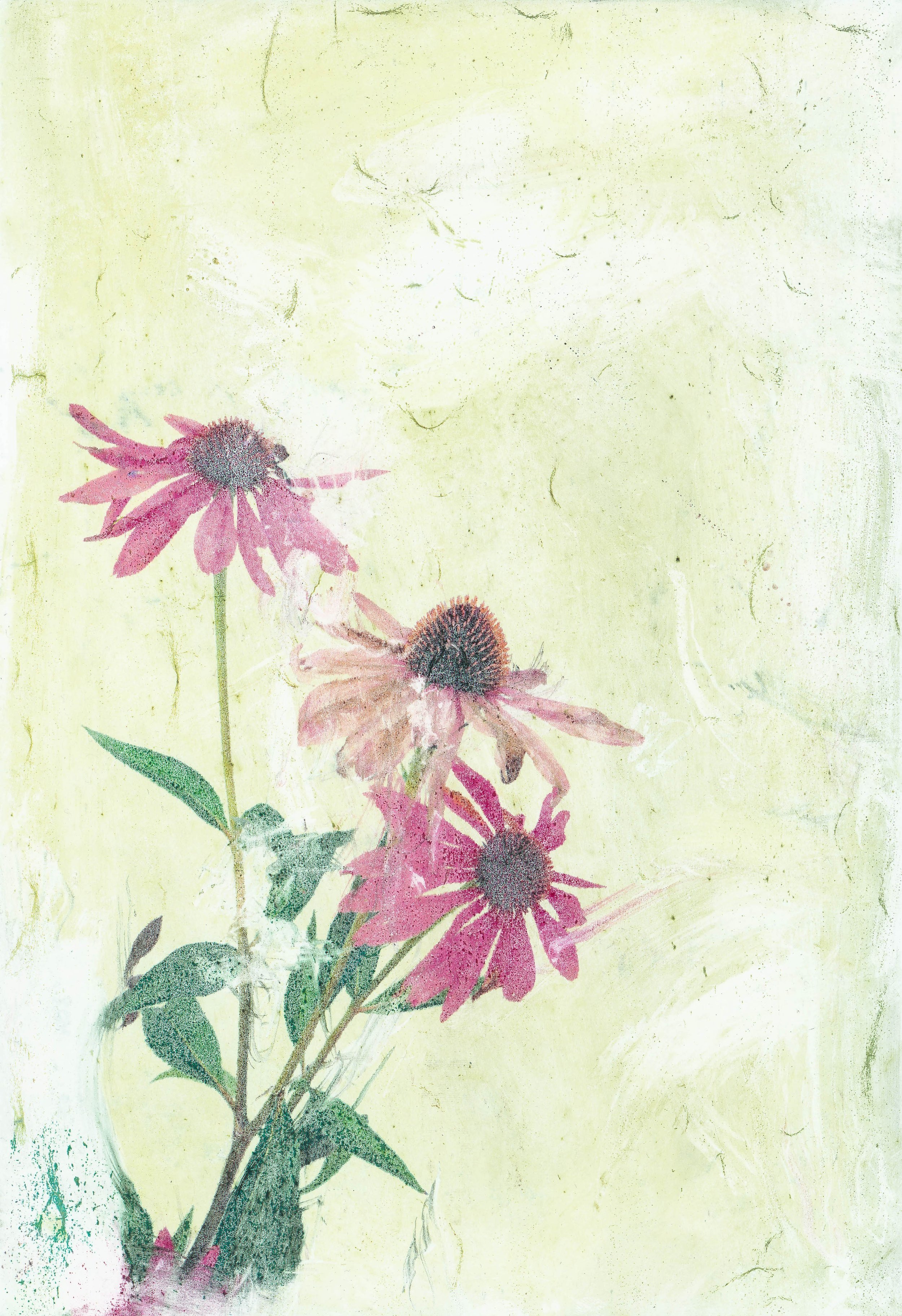 variations_1.jpg