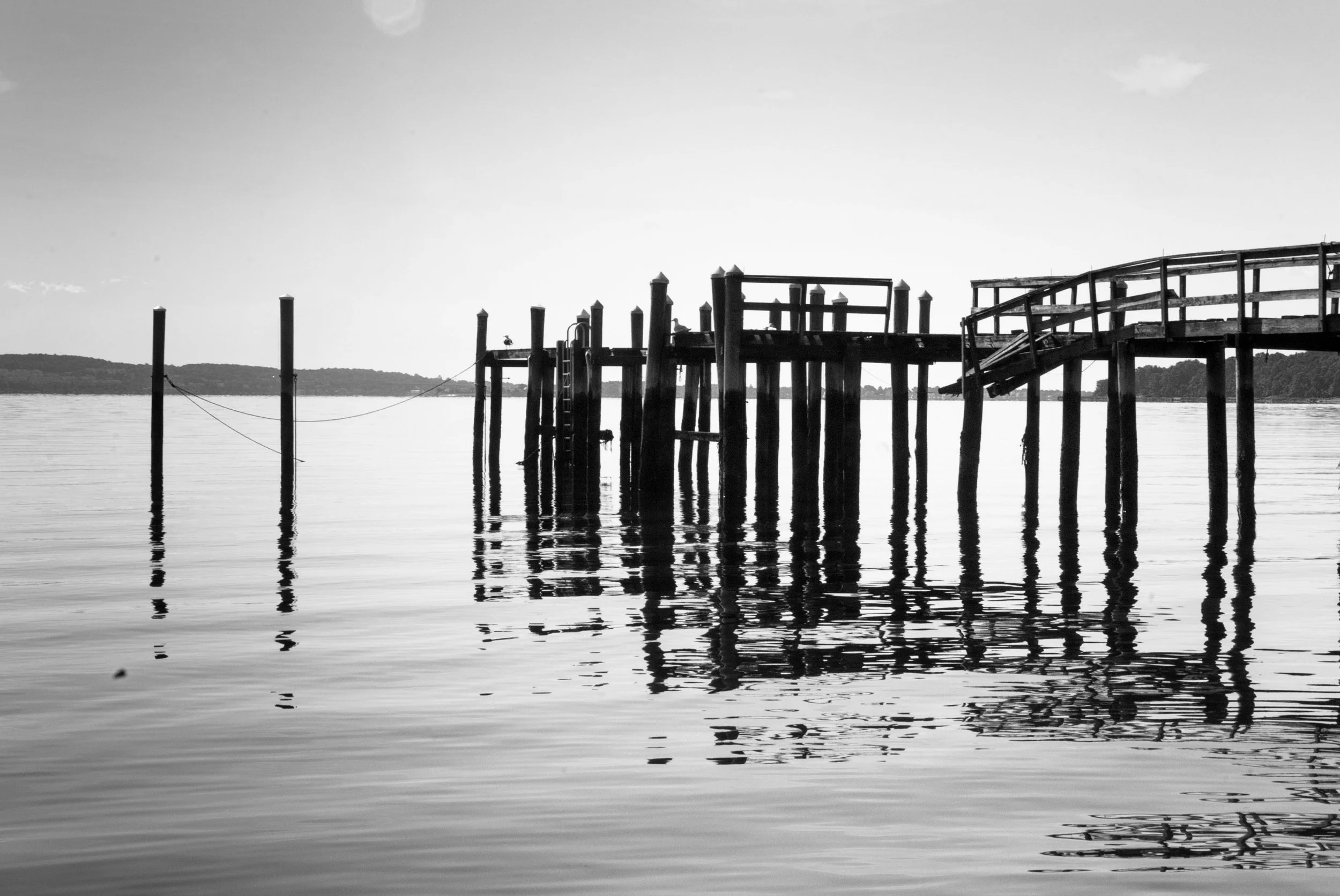 DSC_0183.jpg