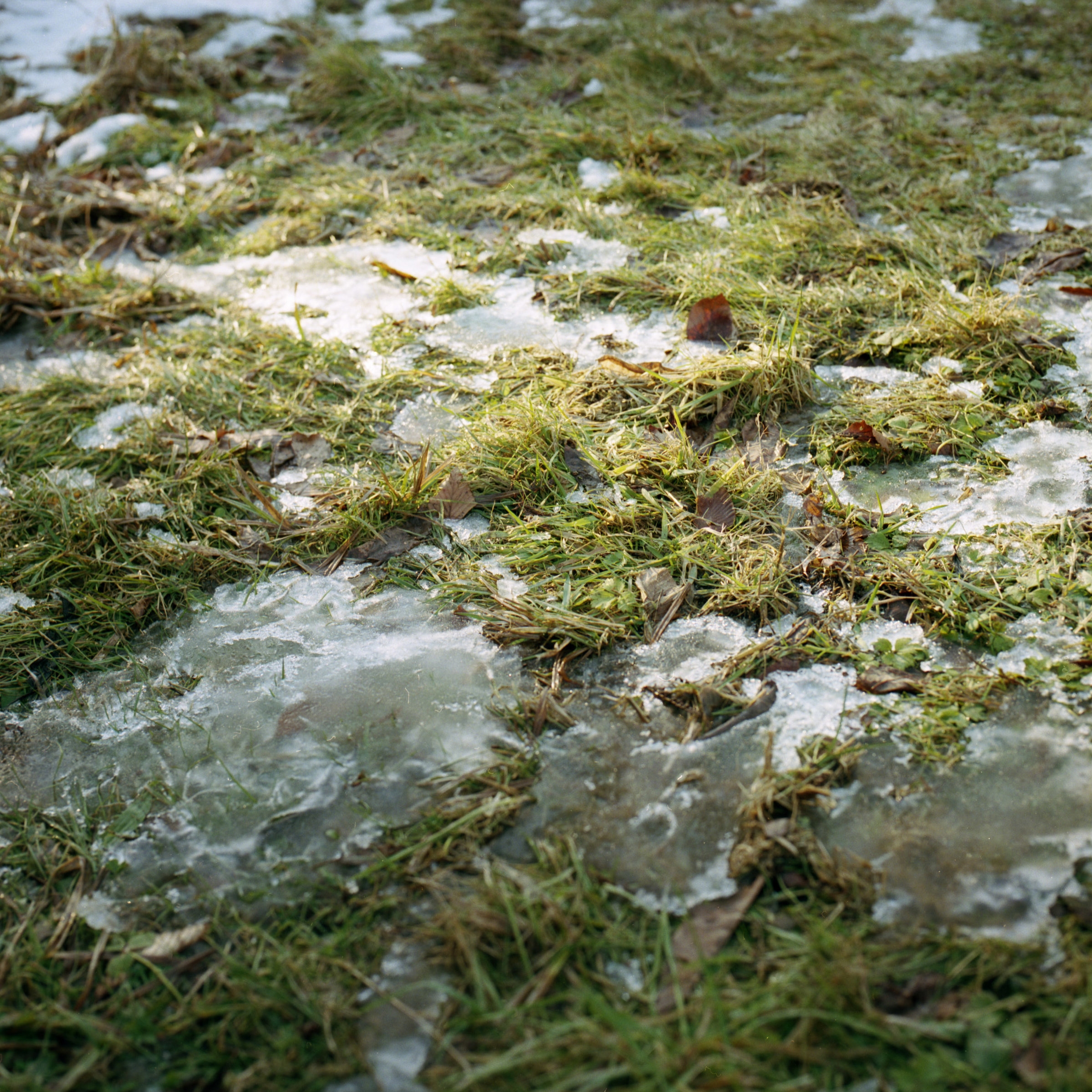 20130124_005-Edit.jpg