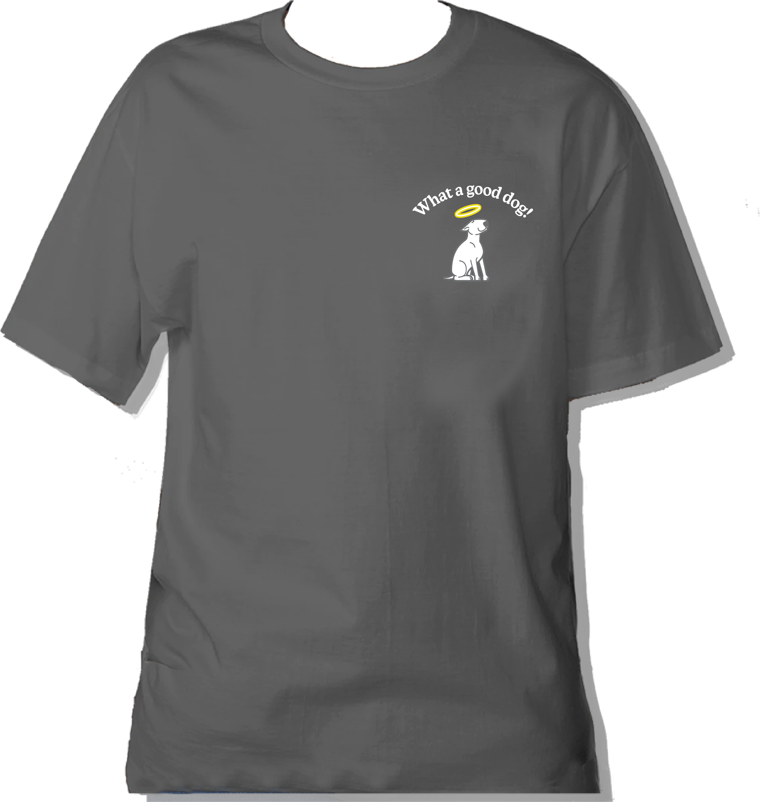 transparent cooper logo t (1).PNG