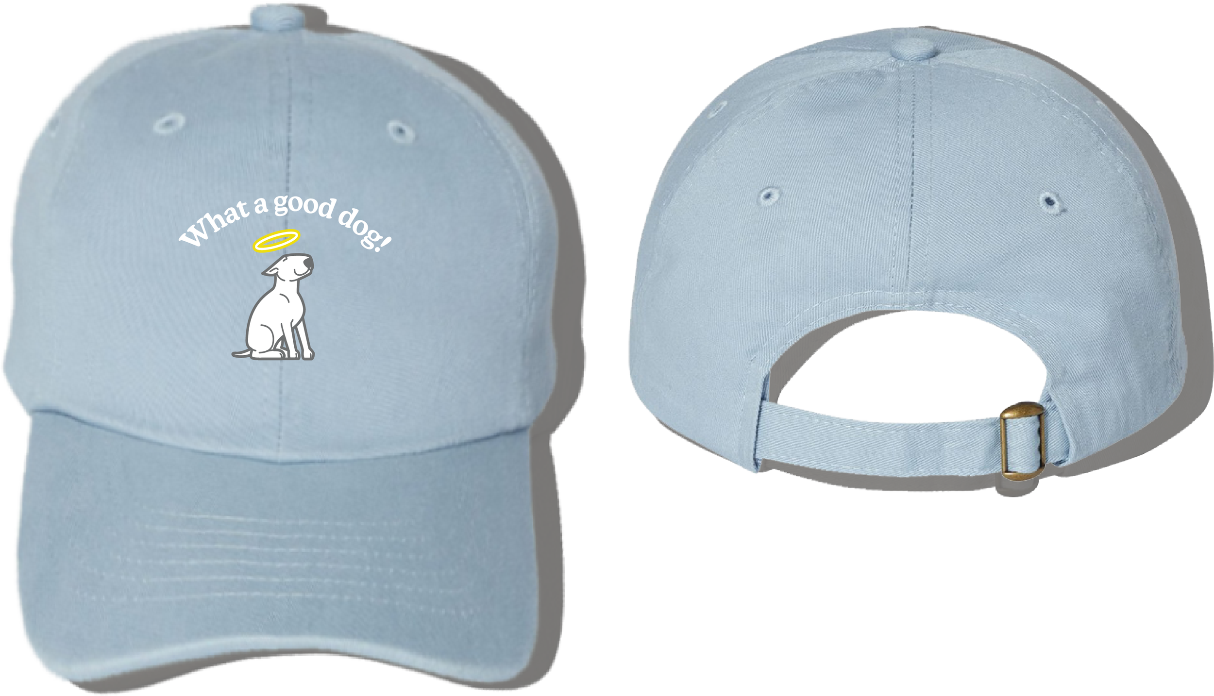 transparent blue cap (1).PNG