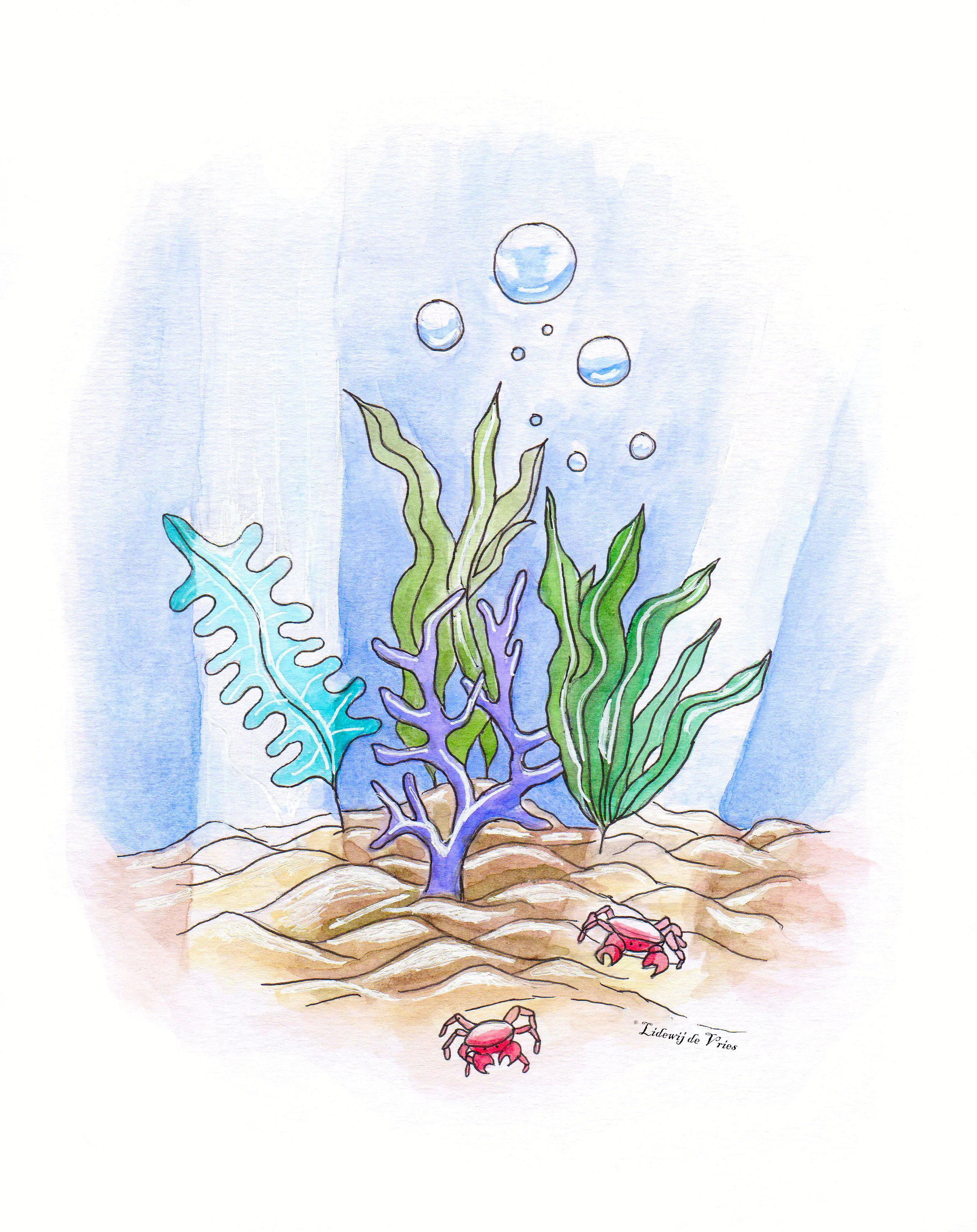 Waterplant copyright.jpg