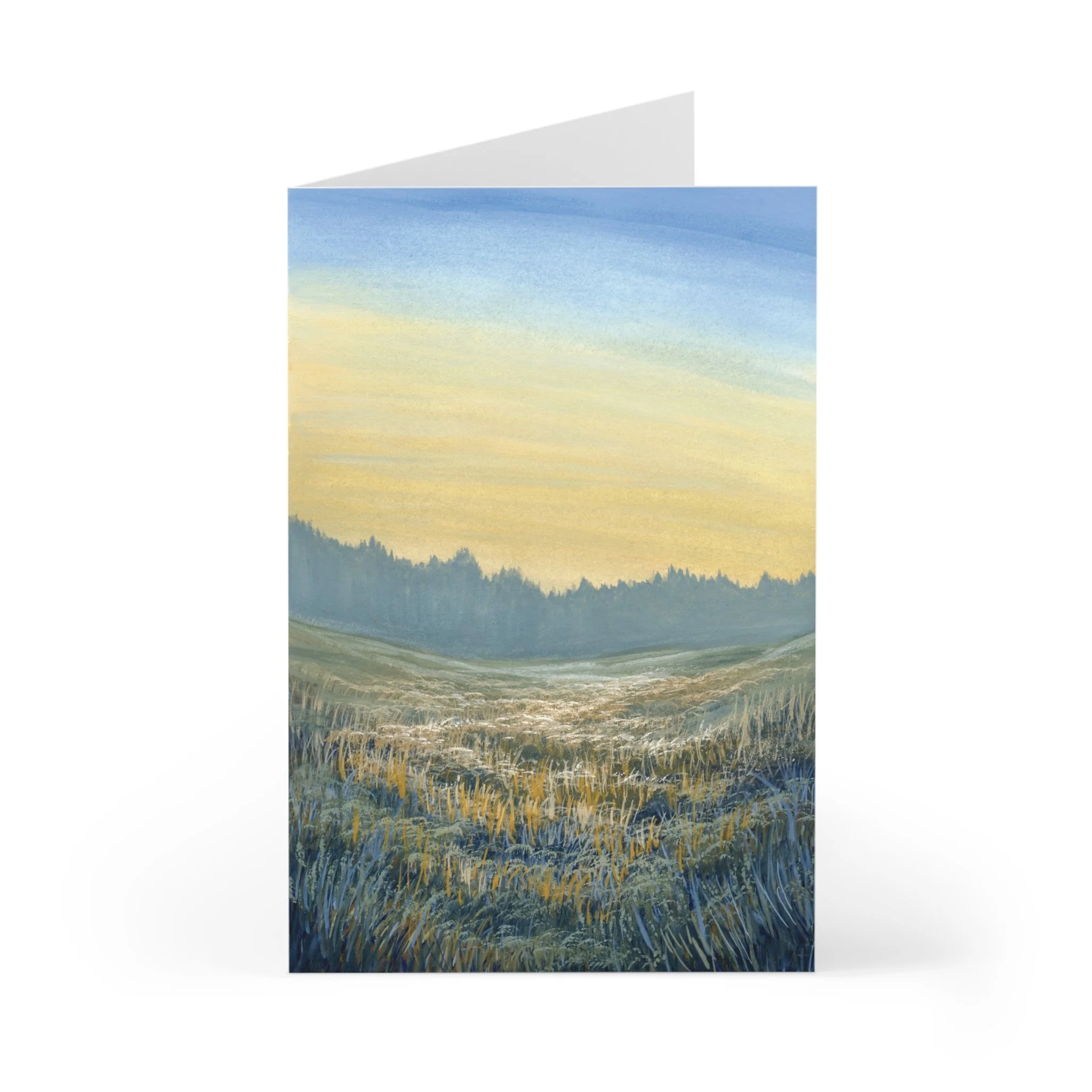 91b878b732c143843236d8f320da5b3c