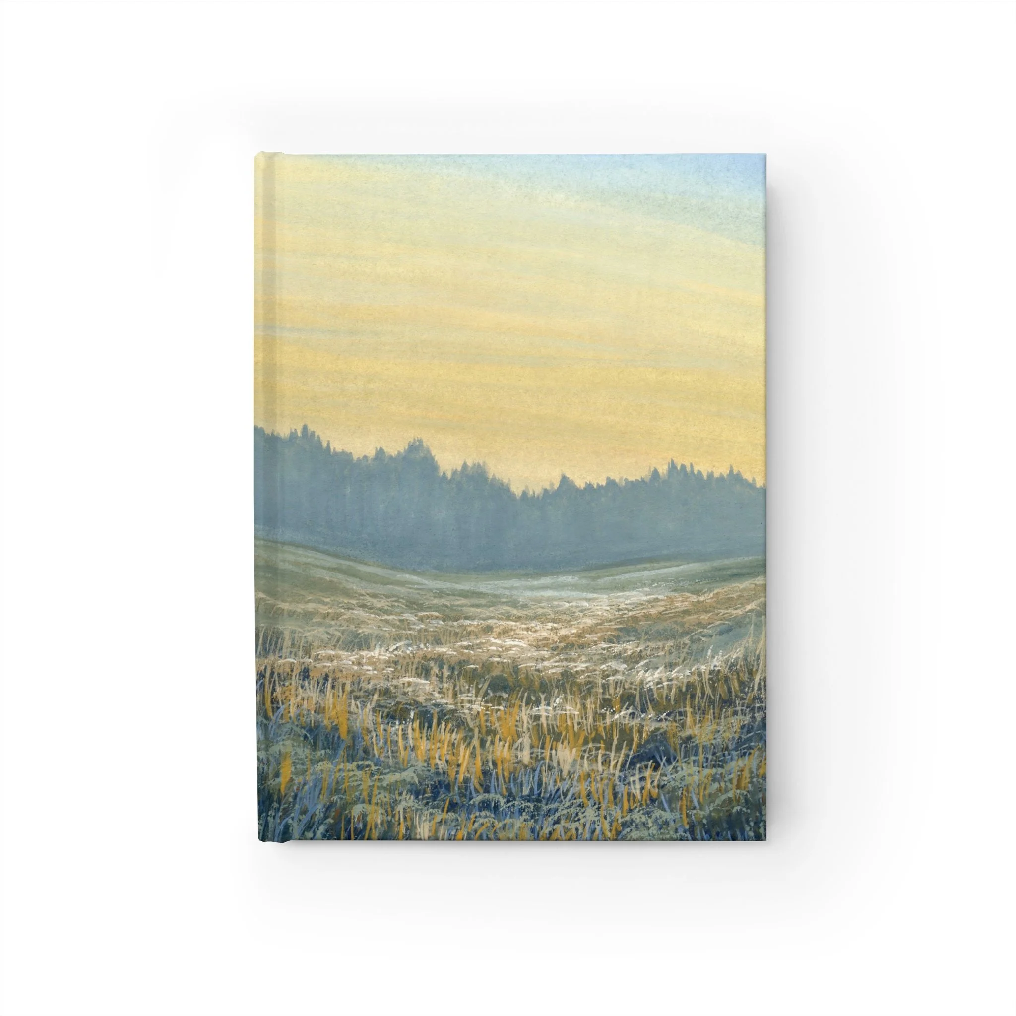 136513d140cec80d32427b27b16f25bf