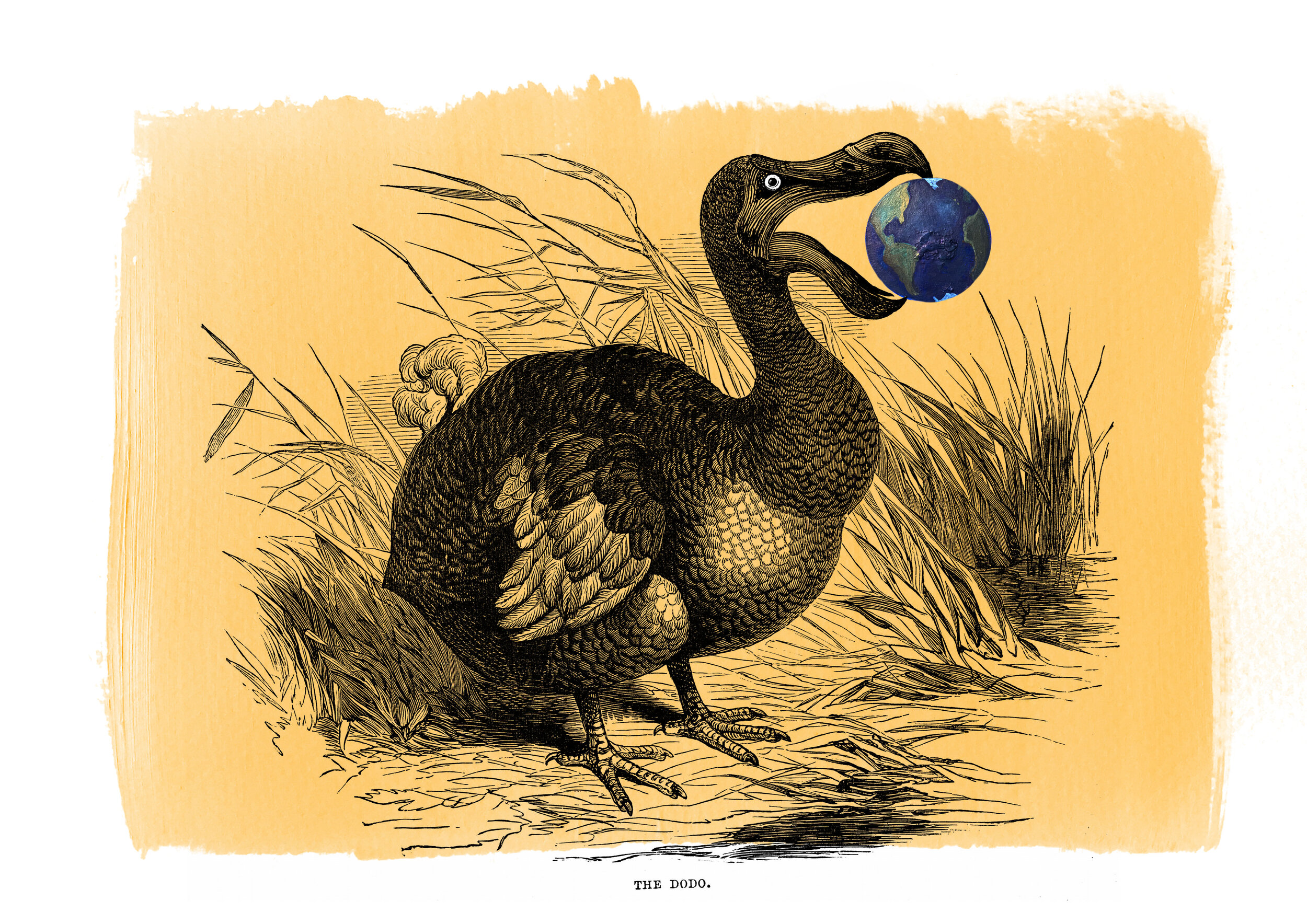 Crisis management 101: treating the climate crisis like a pandemic