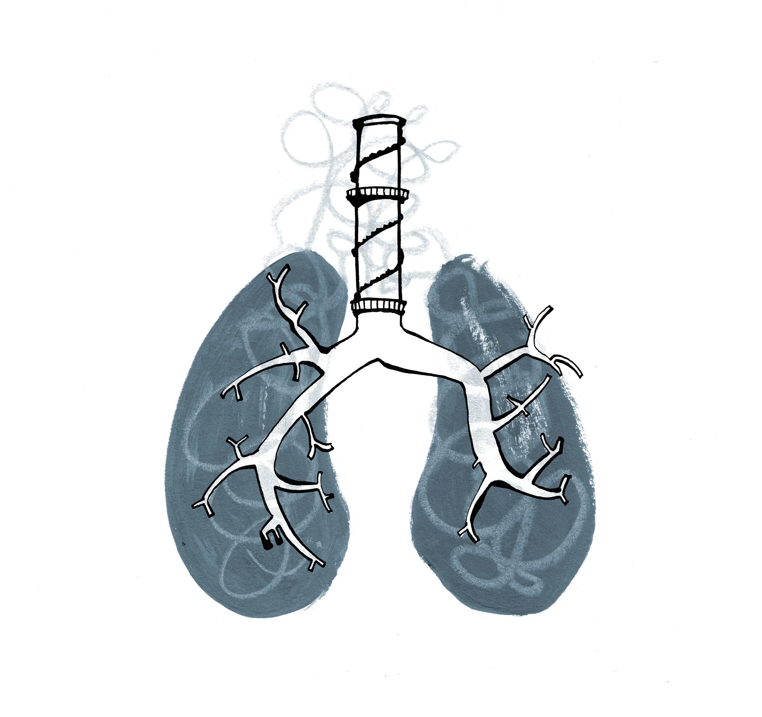 Join the call for the global recognition of the right to a healthy environment