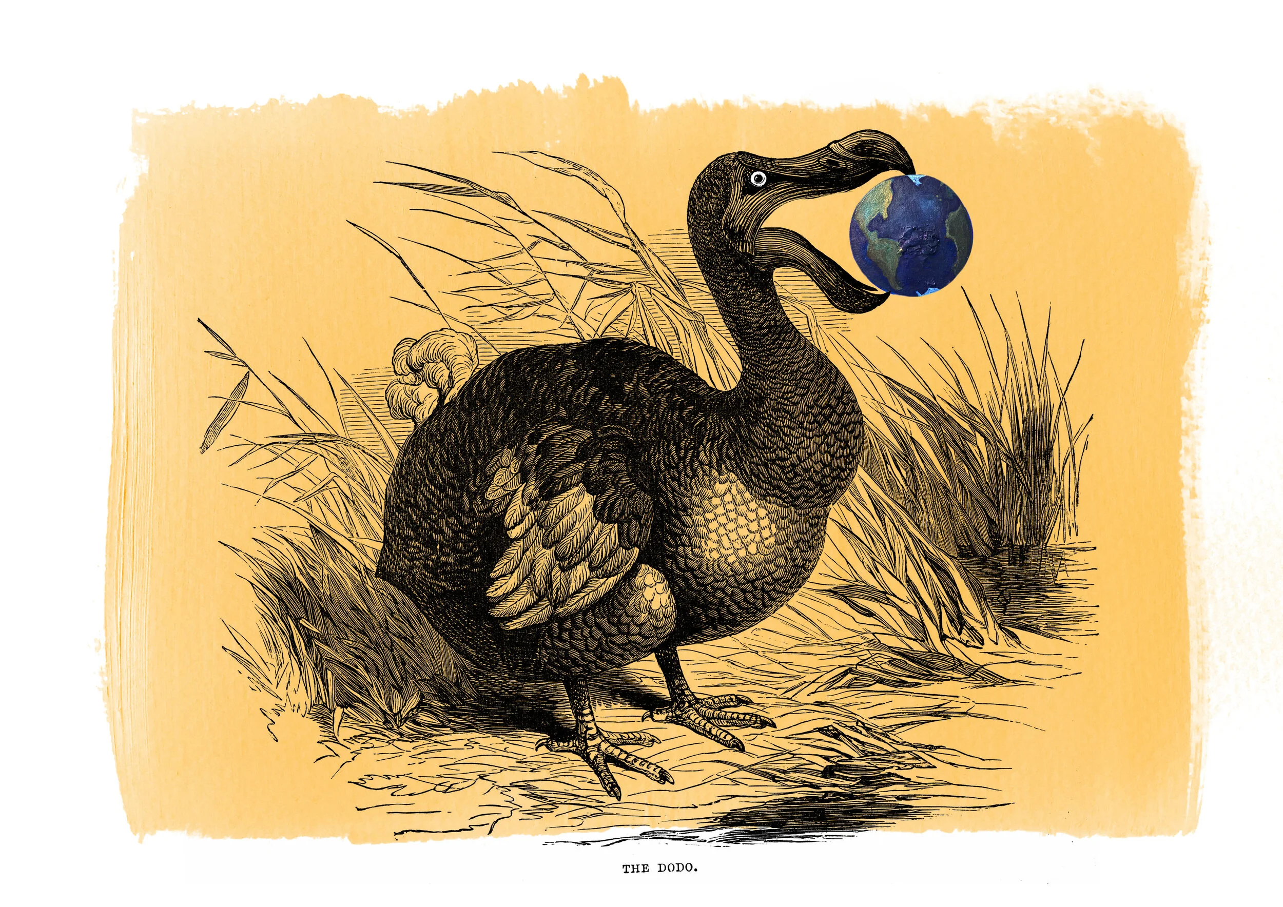 CRIN's strategy on climate justice