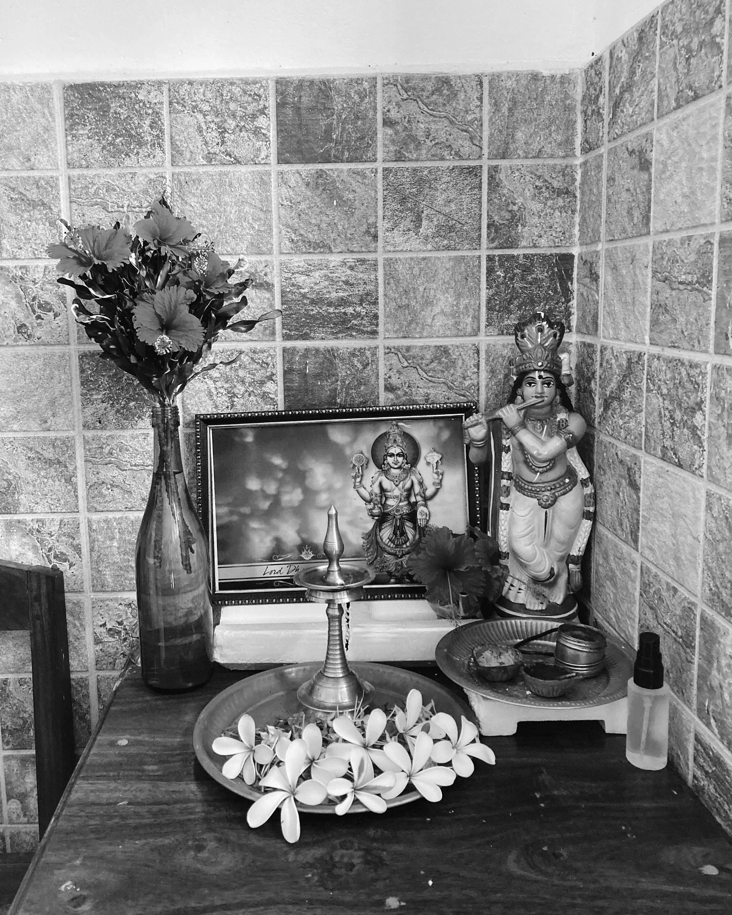DHANTERAS - ist der heutige Tag an dem im Ayurveda die Geburt der ayurvedischen Gottheit &bdquo;Dhanvantari&ldquo; gefeiert wird. 
.
Dhanvantari ist die Gottheit der GESUNDHEIT, des WOHLBEFINDENS und des AYURVEDAS. 
In der uralten Sage ist diese Gott