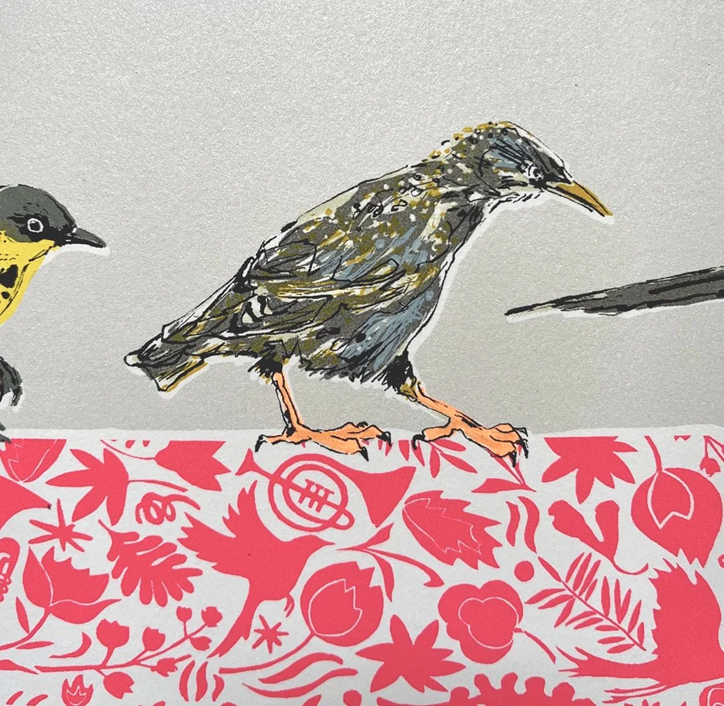 Struttinh their Stuff (Red), Starling.jpg