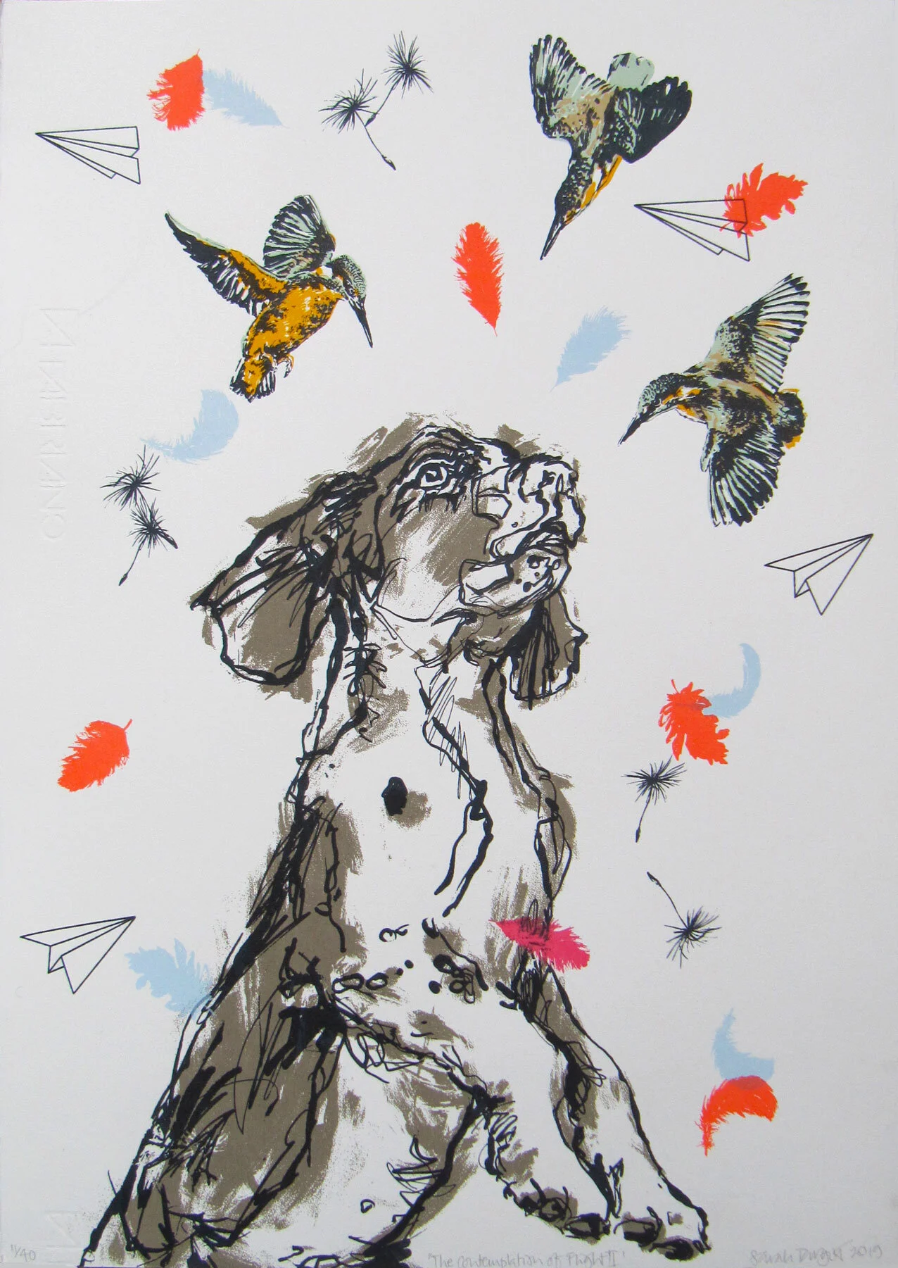 The-contemplation-of-flight-(small).jpg