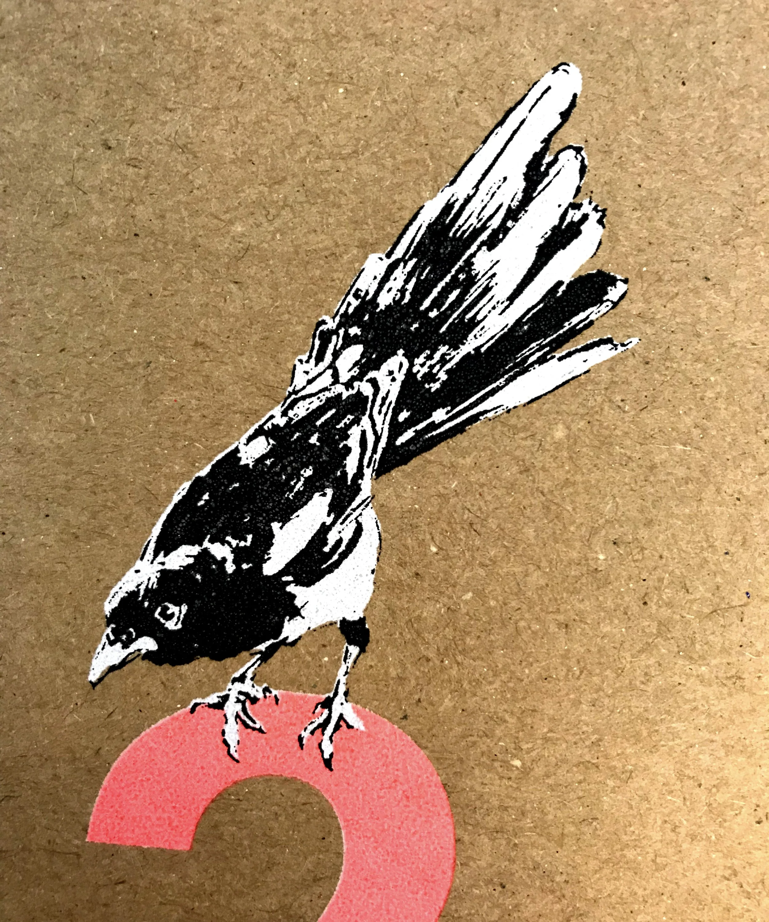 2 for joy, magpie v close up.jpg