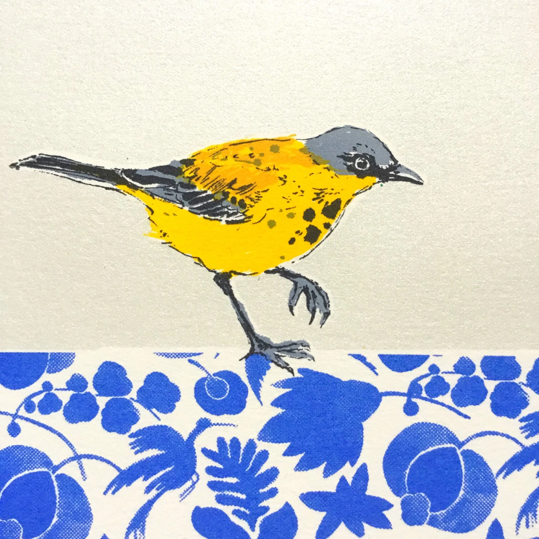 8BD17576-B77C-470B-8E24-5EB086902489