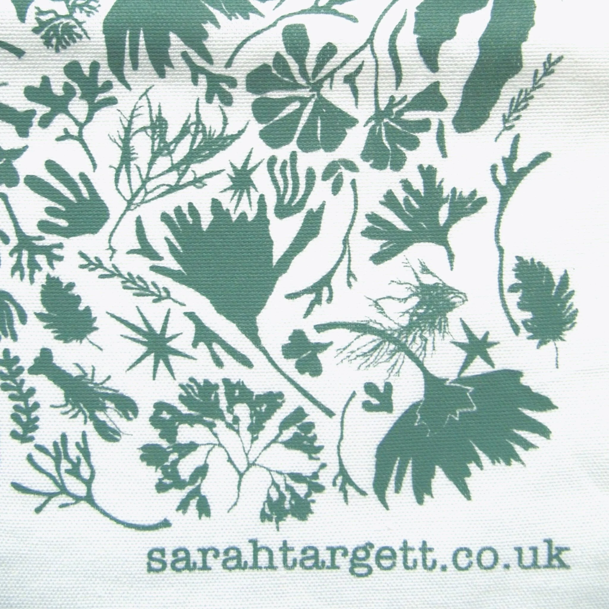 E1488EF1-EF16-4A23-98B7-E86F5D11109F