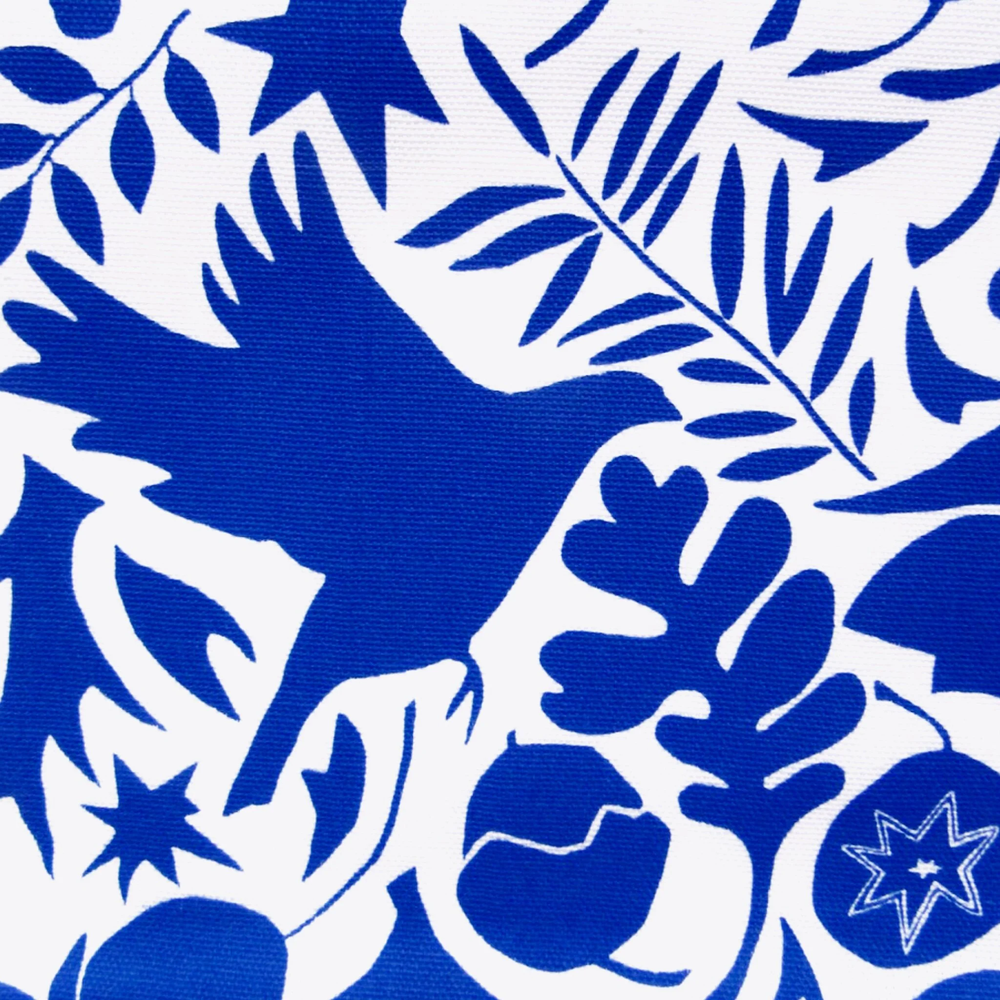 A972E252-C576-443C-84B7-86D32CE6C19F