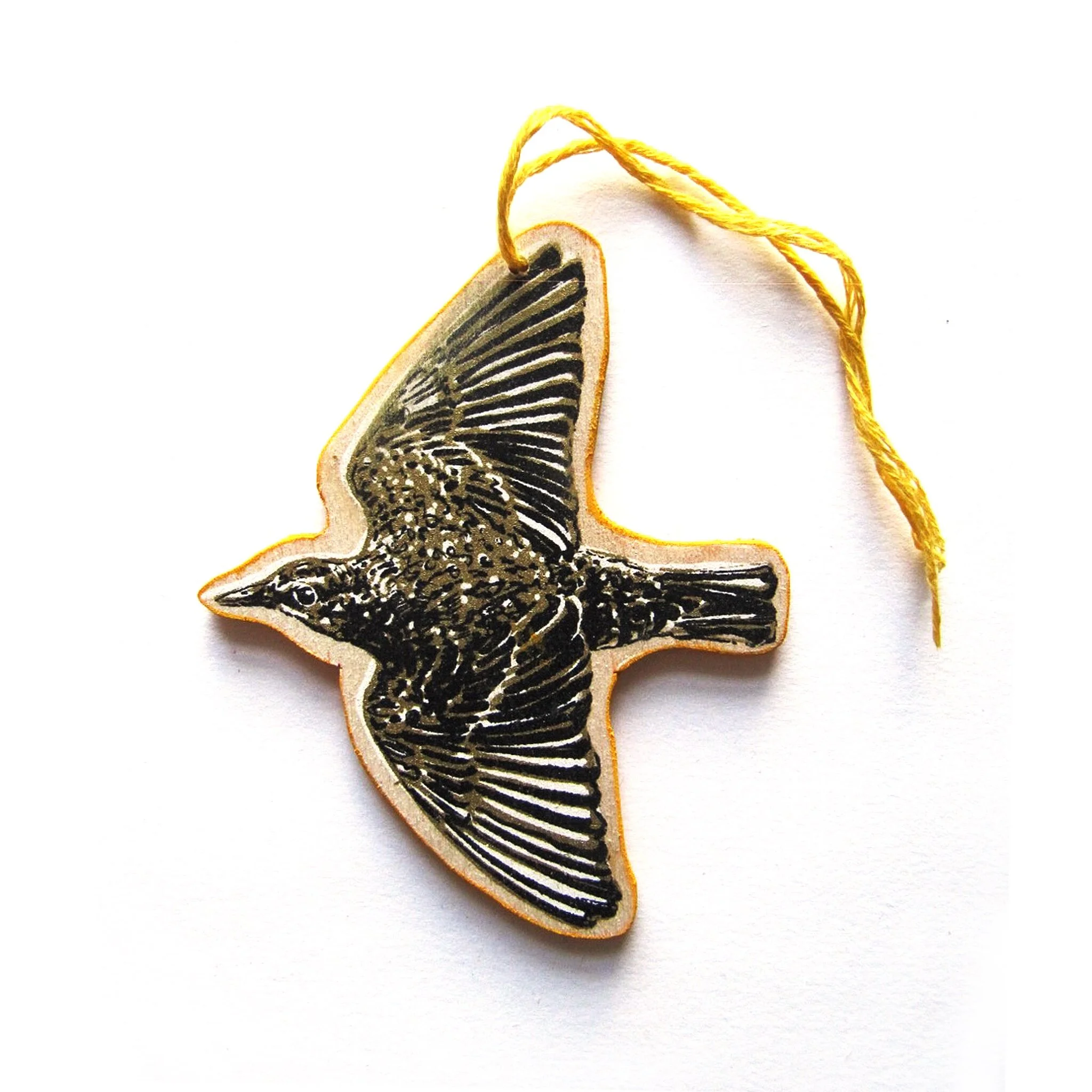 DE1173E8-0D08-4CE2-983F-C75DE090124D