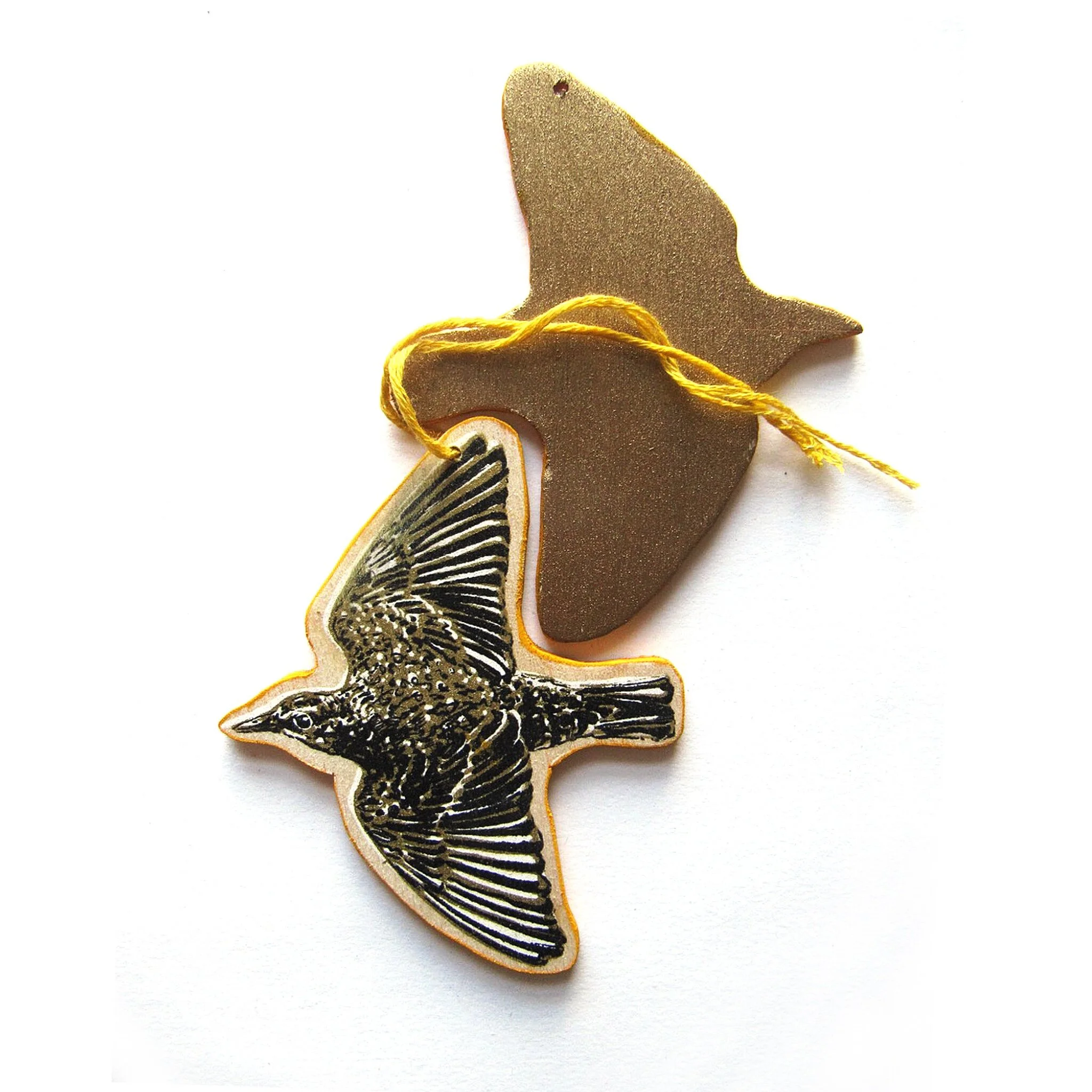 42BDFDCA-CF5F-47B6-B01A-7F913E59553F