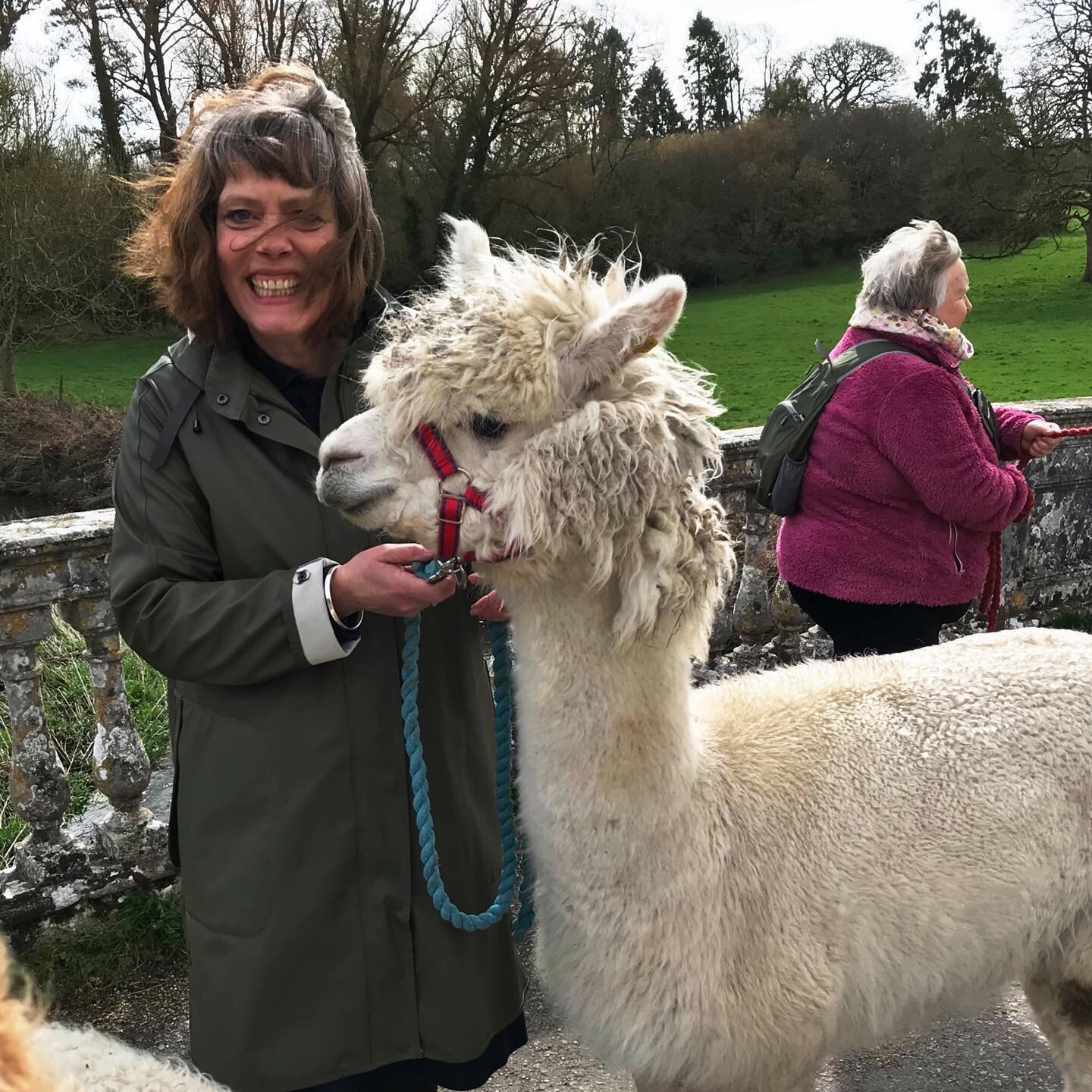 Due to family illness I&rsquo;ve had a hiatus. The first quarter of the year has passed me by but I&rsquo;m slowly clambering back onto the Instagram pony (or in this case #alpacas ). It was my Birthday at the weekend and I had a lovely couple of day