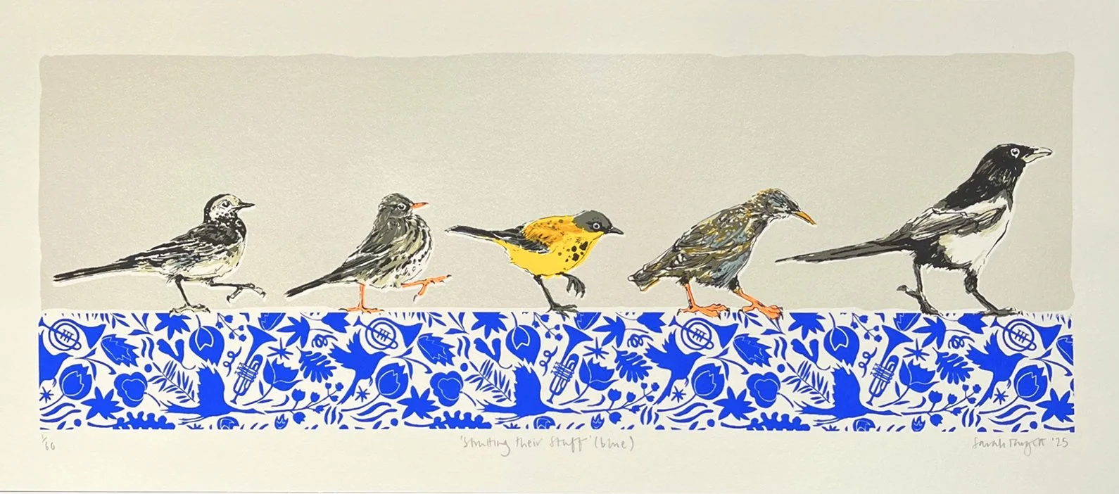 Strutting their Stuff (blue), full.jpg