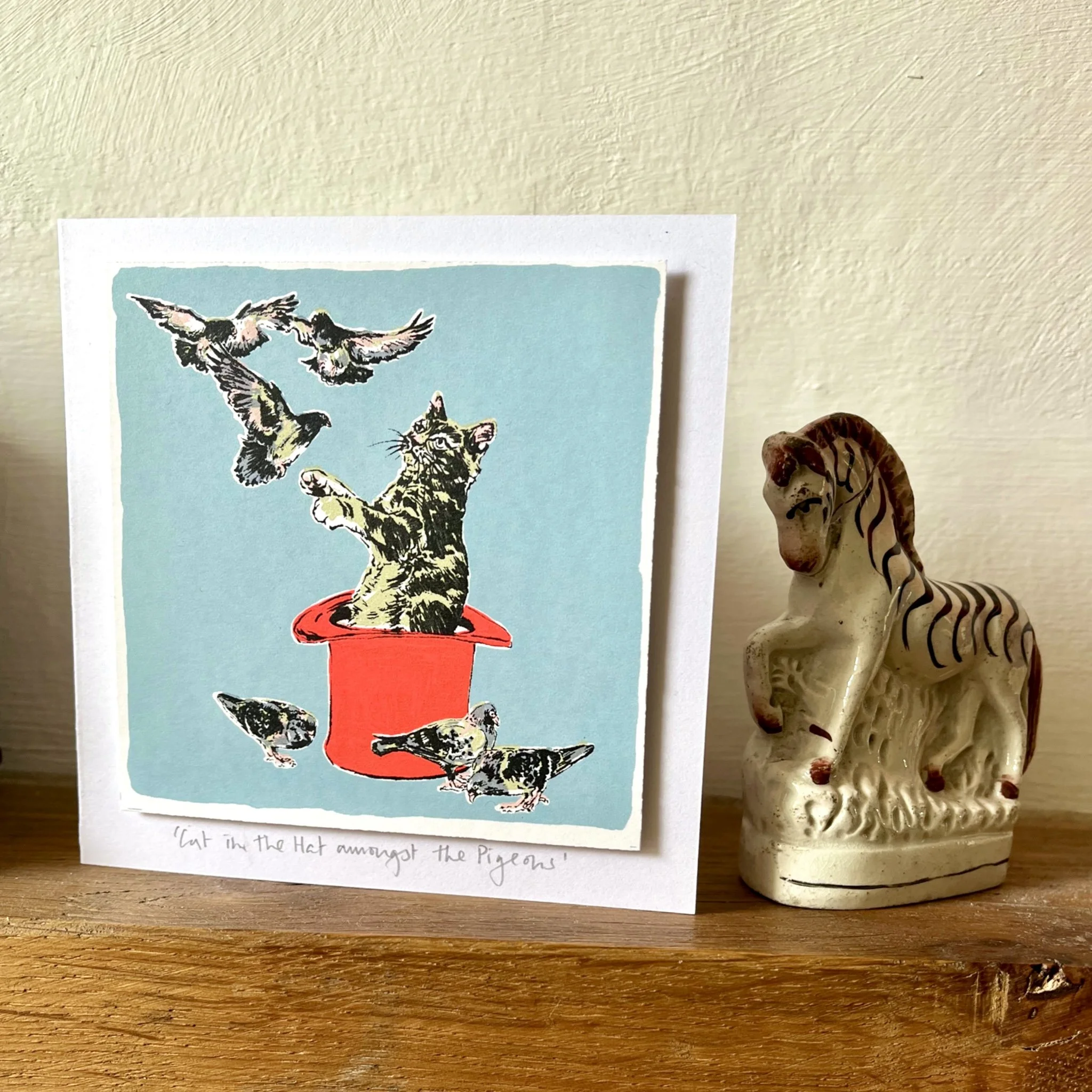 Cat in the hat amongst the pigeons 2.JPEG
