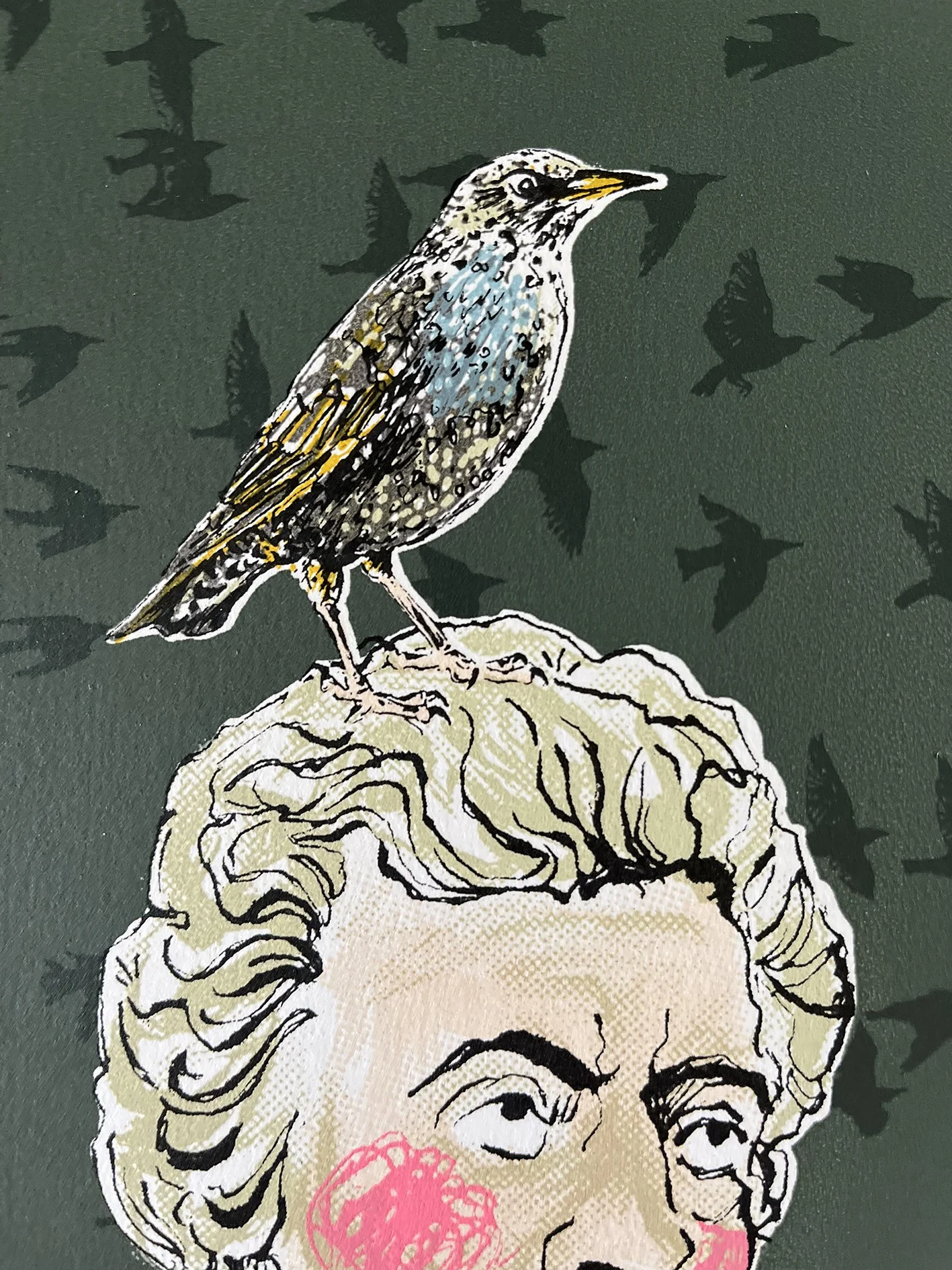 Mozart's Starling  starling.jpg