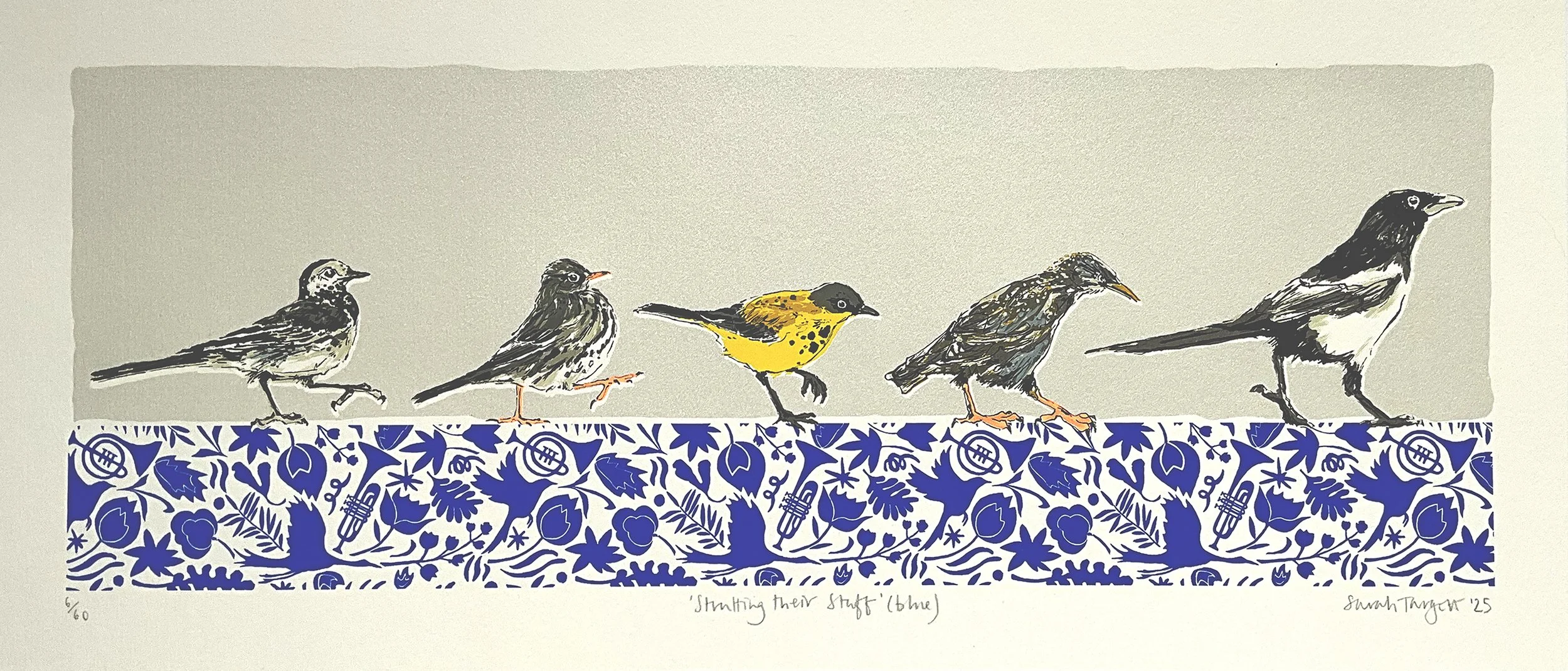 Strutting their Stuff, blue, better.jpg