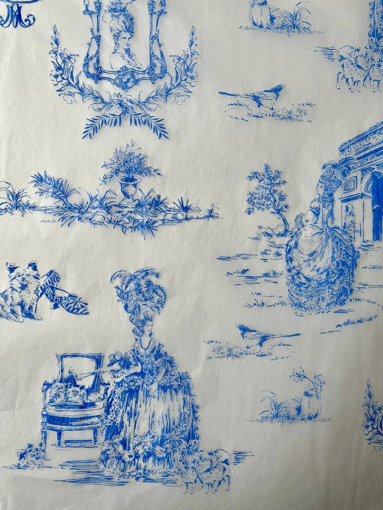 MA, tissue, very detail.jpg