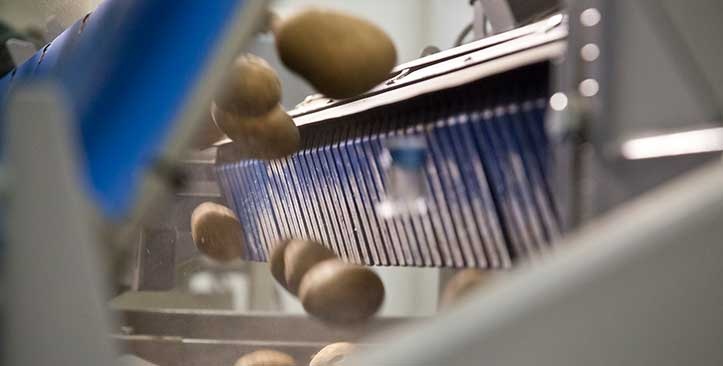 AUTOMATIZACIÓN DE PROCESOS EN LA INDUSTRIA ALIMENTARIA