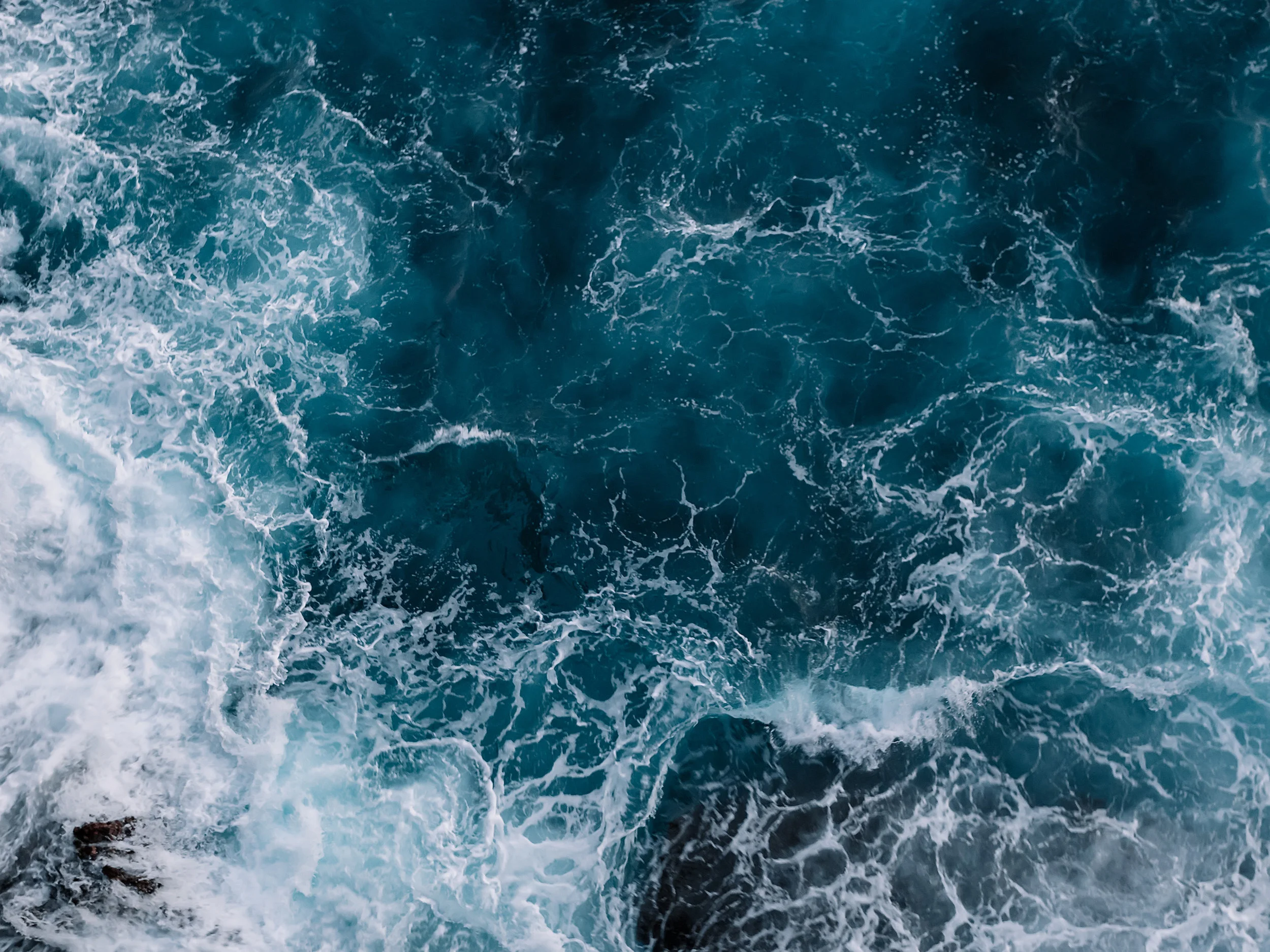 HUBBUB_OCEAN.jpg